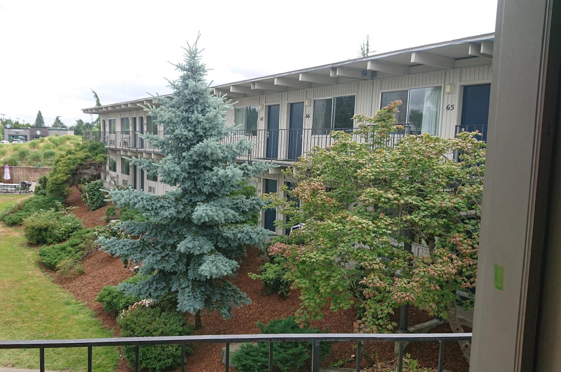 Cocusa Motel photo 18
