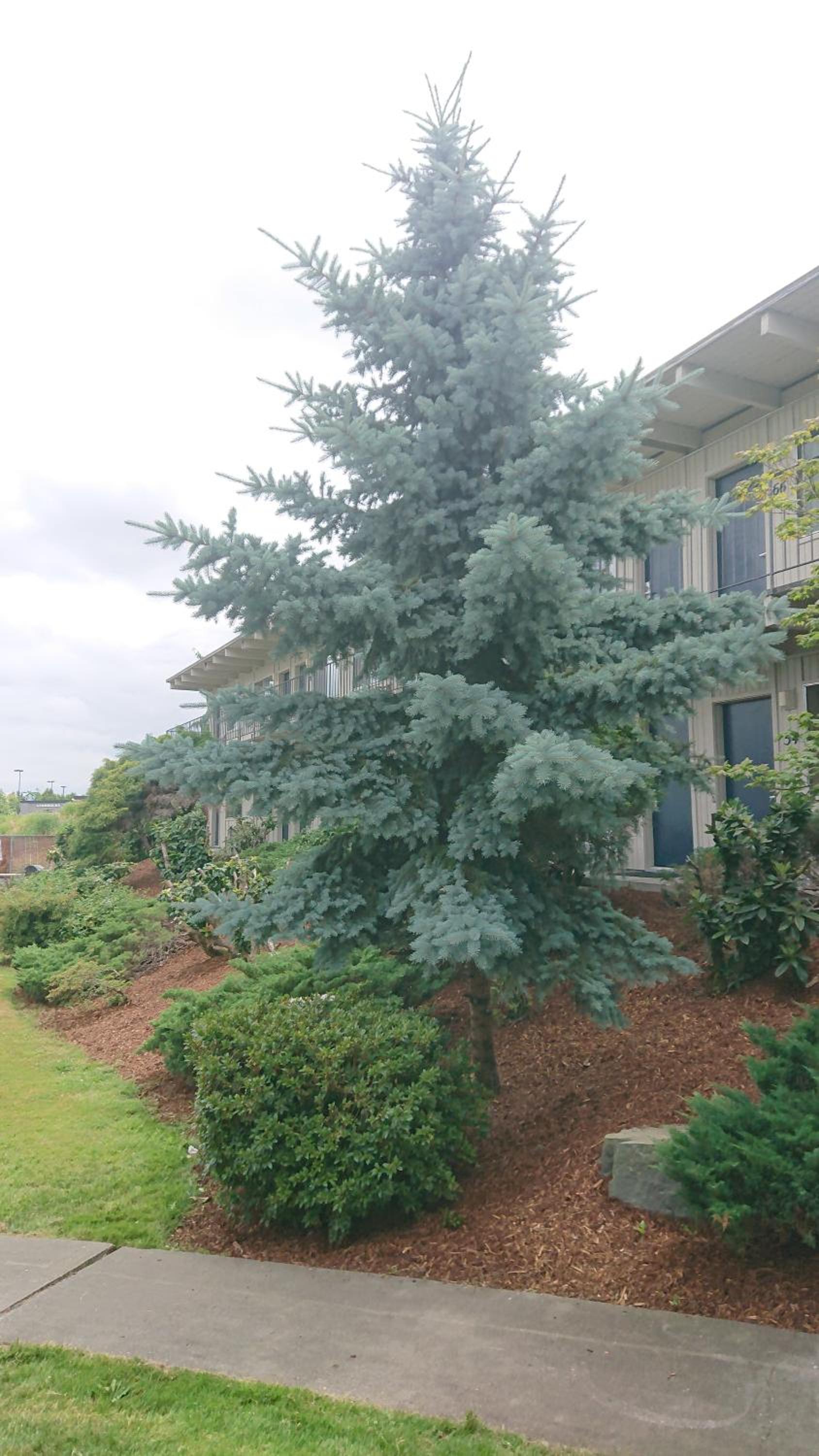 Cocusa Motel photo 20