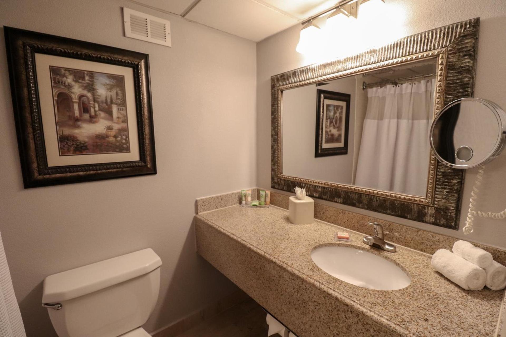 Wyndham Houston near NRG Park - Medical Center photo 83