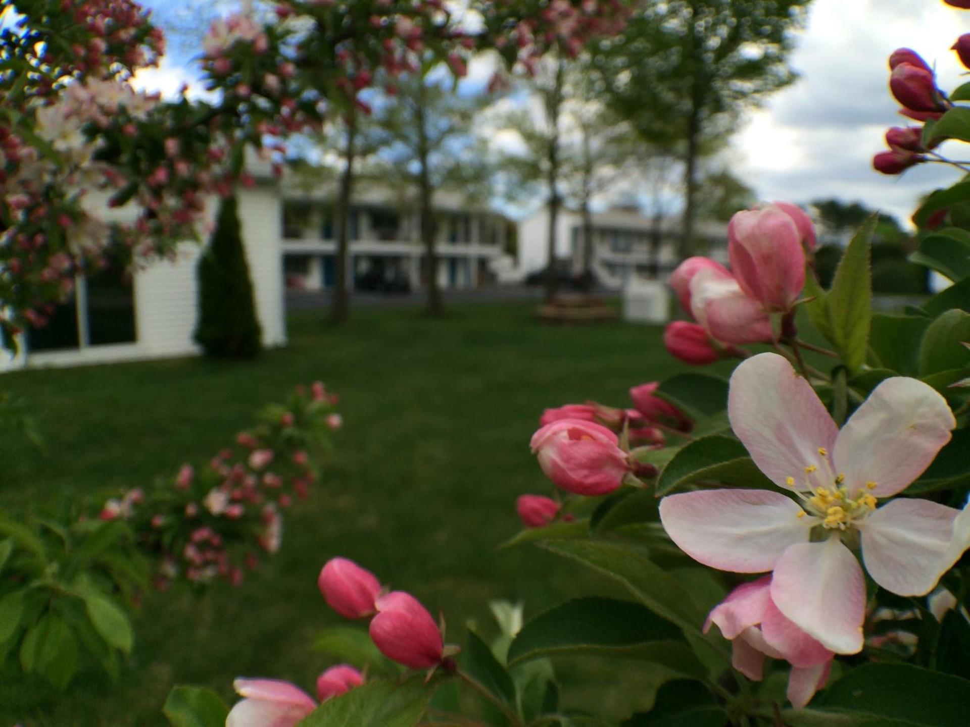 Ocean Acres Ogunquit photo 30