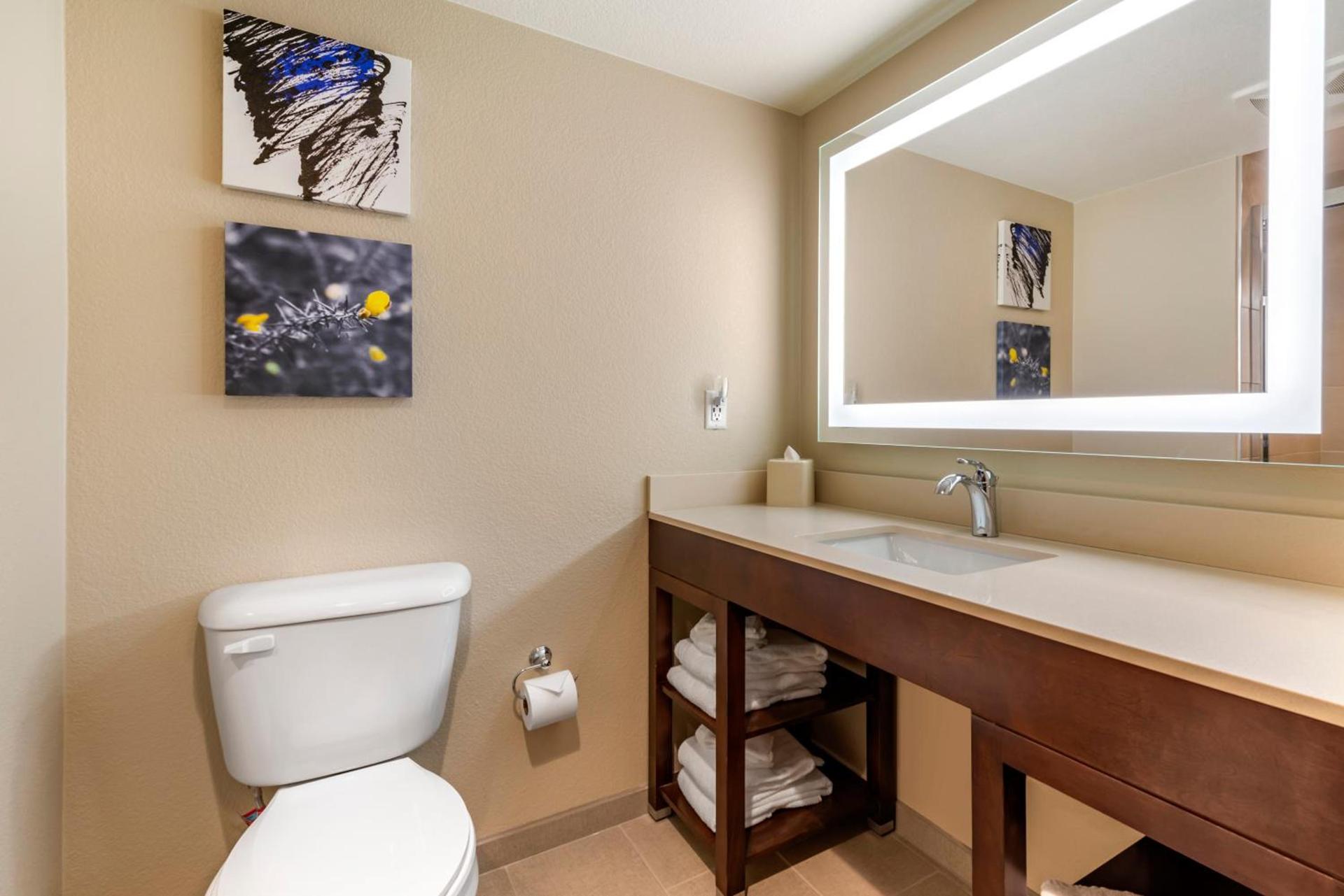 Comfort Suites Broomfield-Boulder-Interlocken photo 38