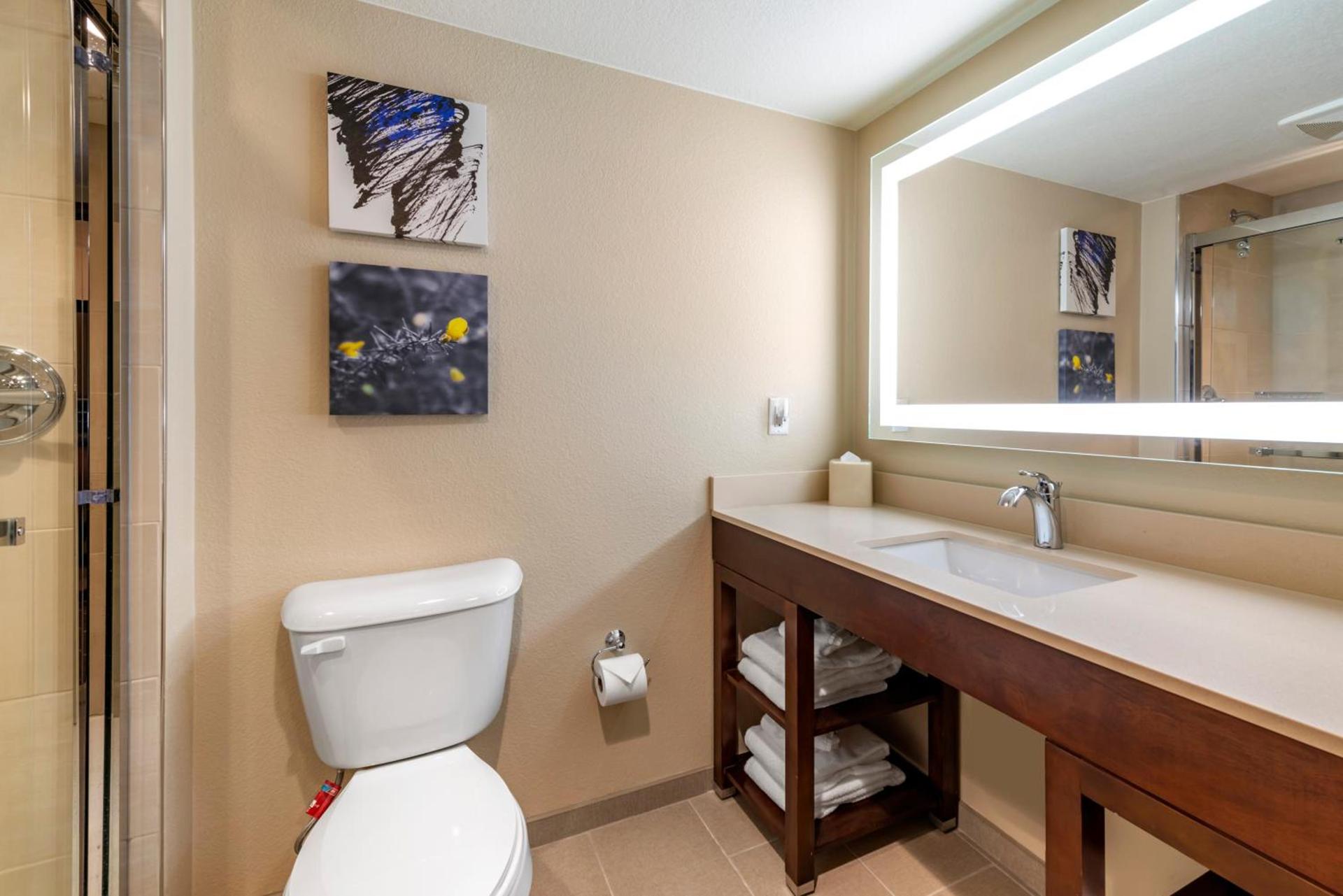 Comfort Suites Broomfield-Boulder-Interlocken photo 57