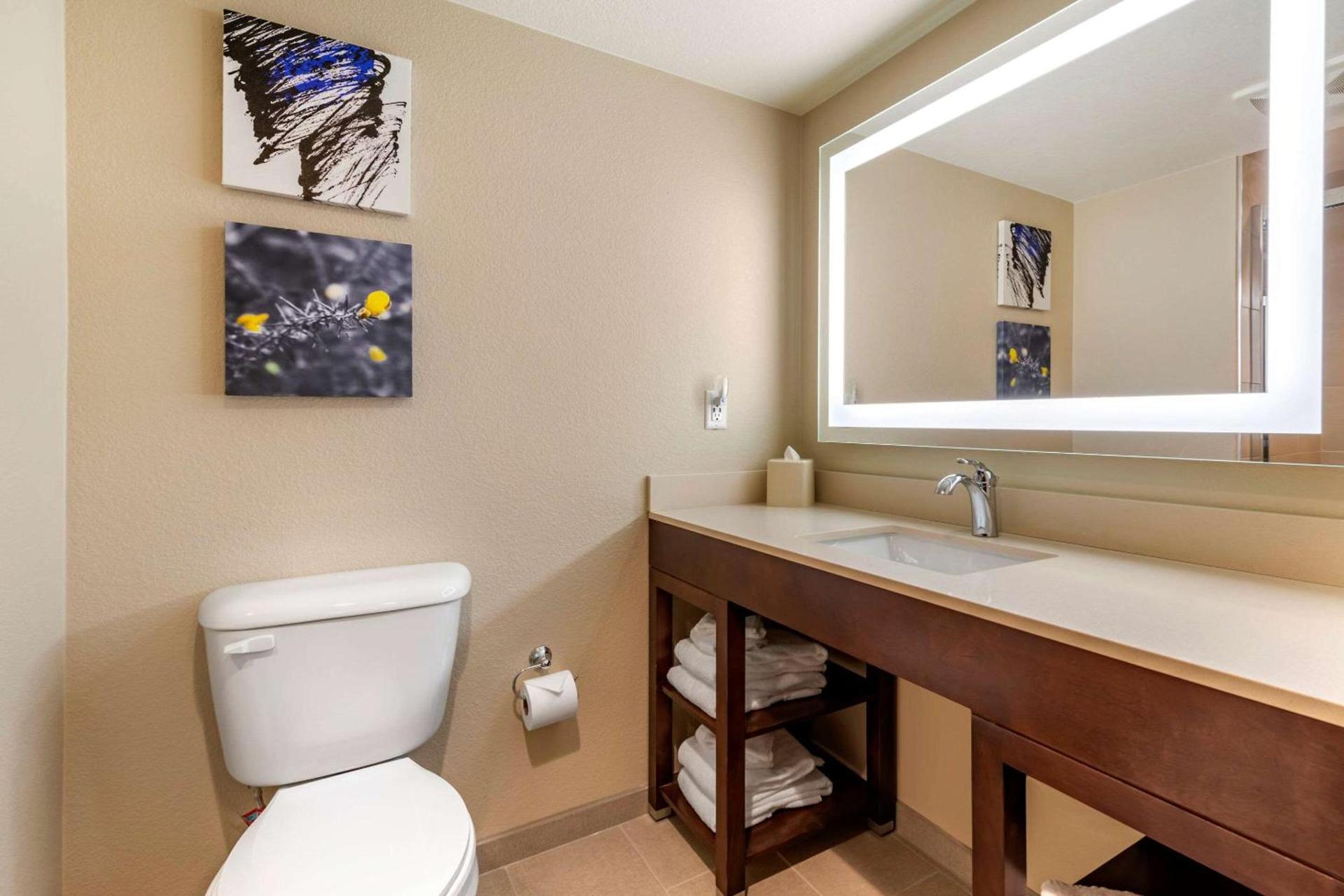 Comfort Suites Broomfield-Boulder-Interlocken photo 6