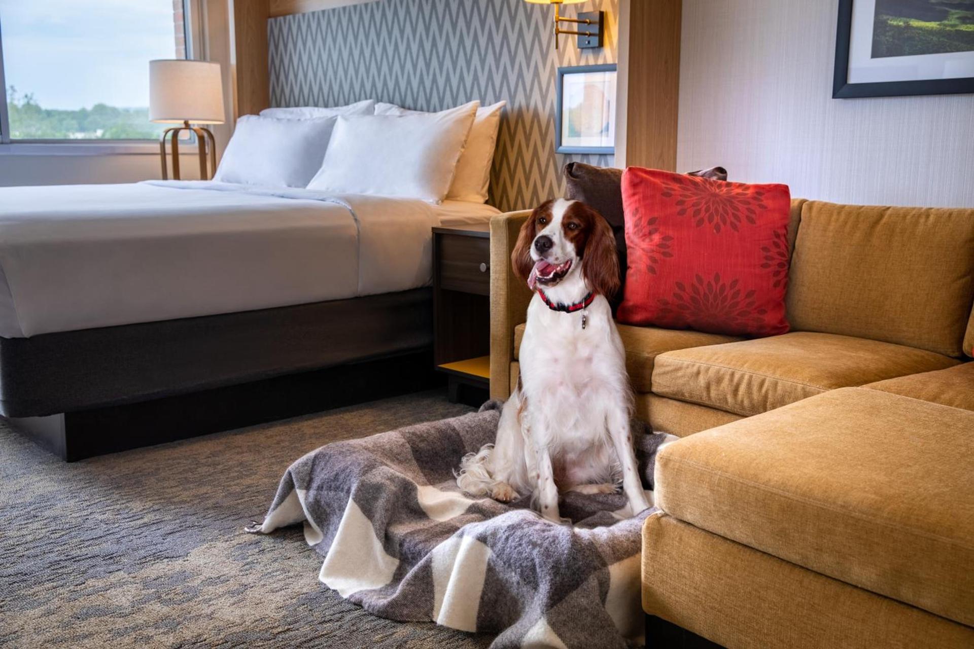Holiday Inn Charlottesville-Monticello by IHG photo 13