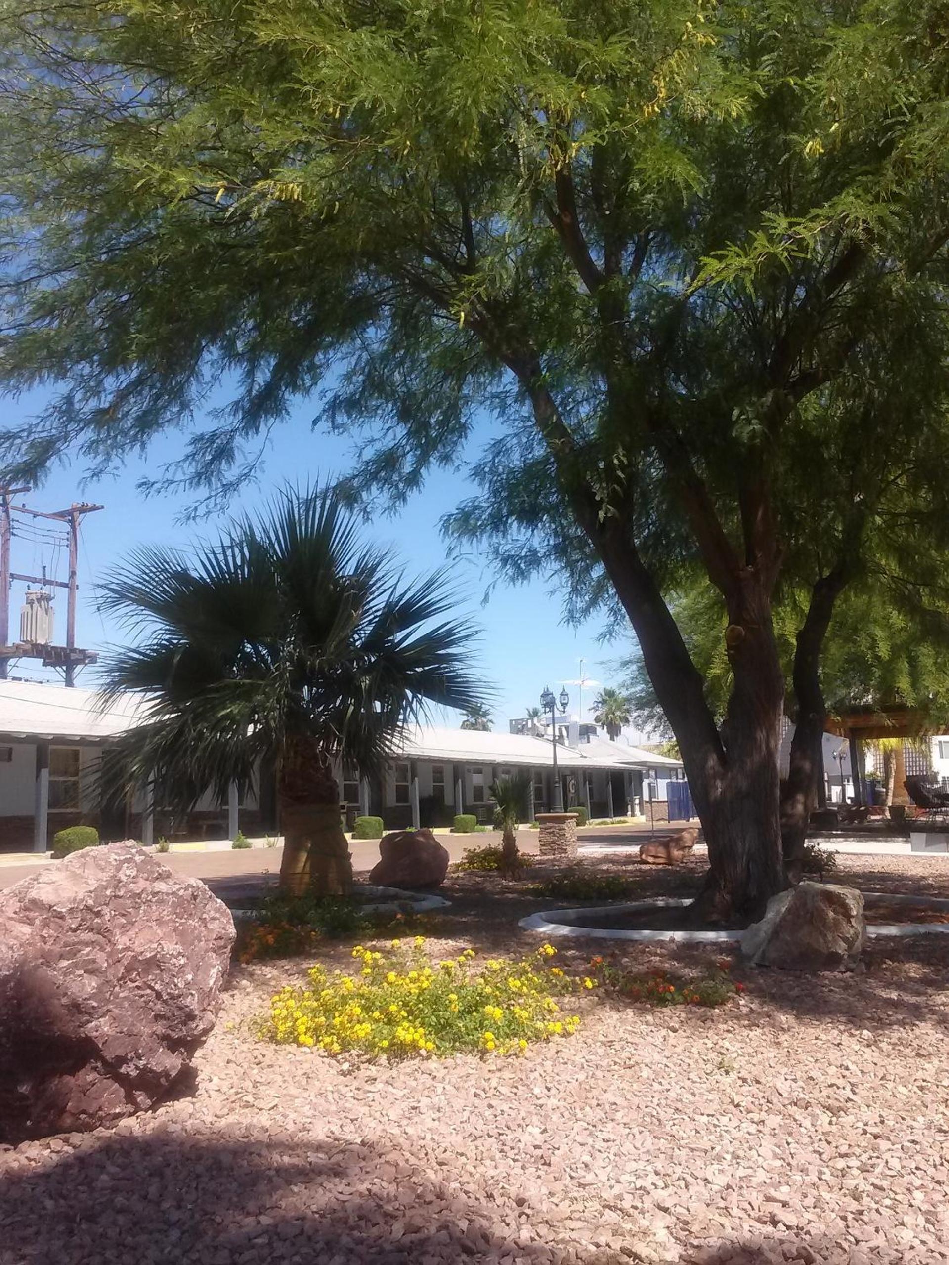 Sterling Gardens photo 6