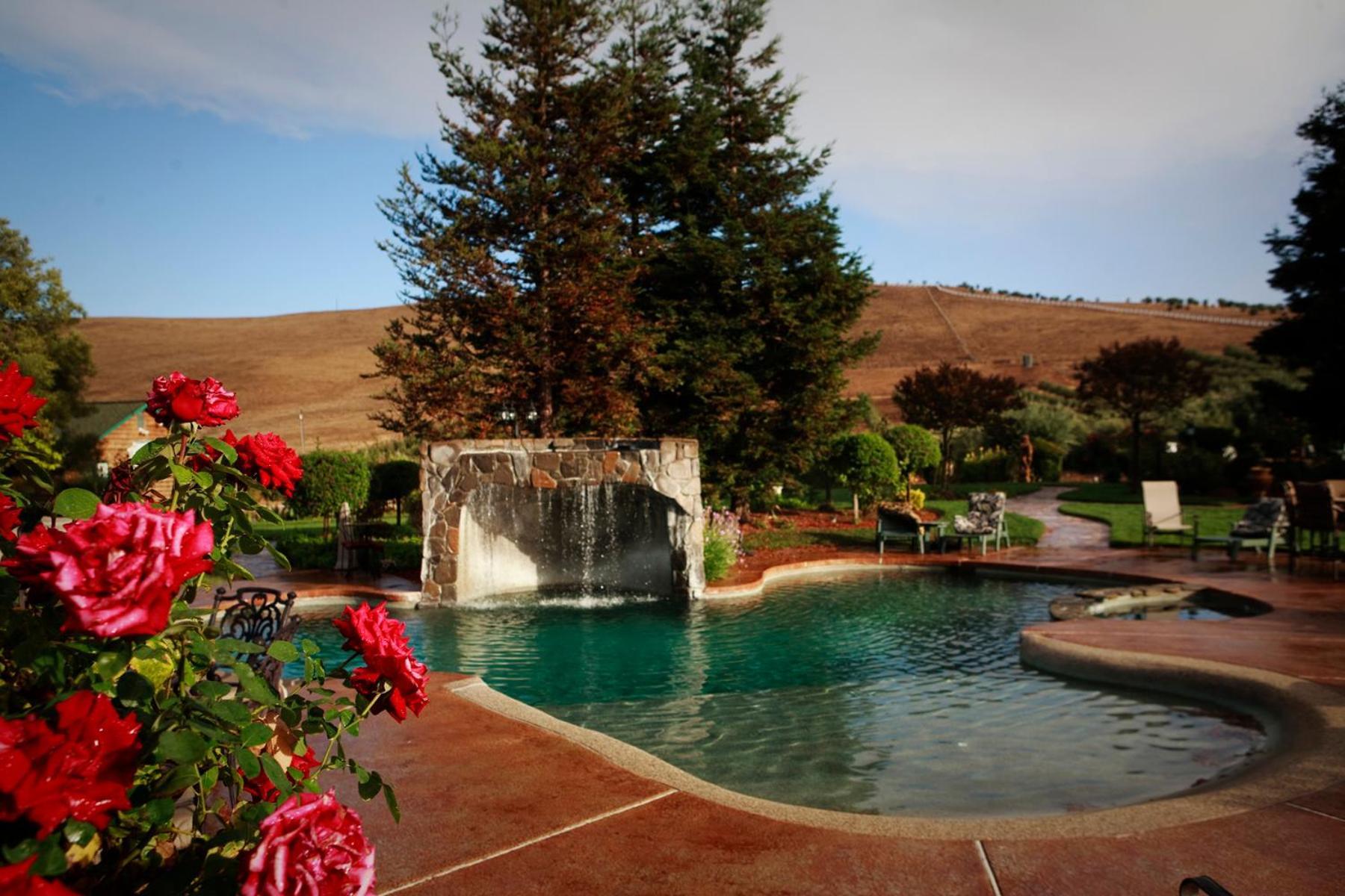 Purple Orchid Resort & Spa photo 4