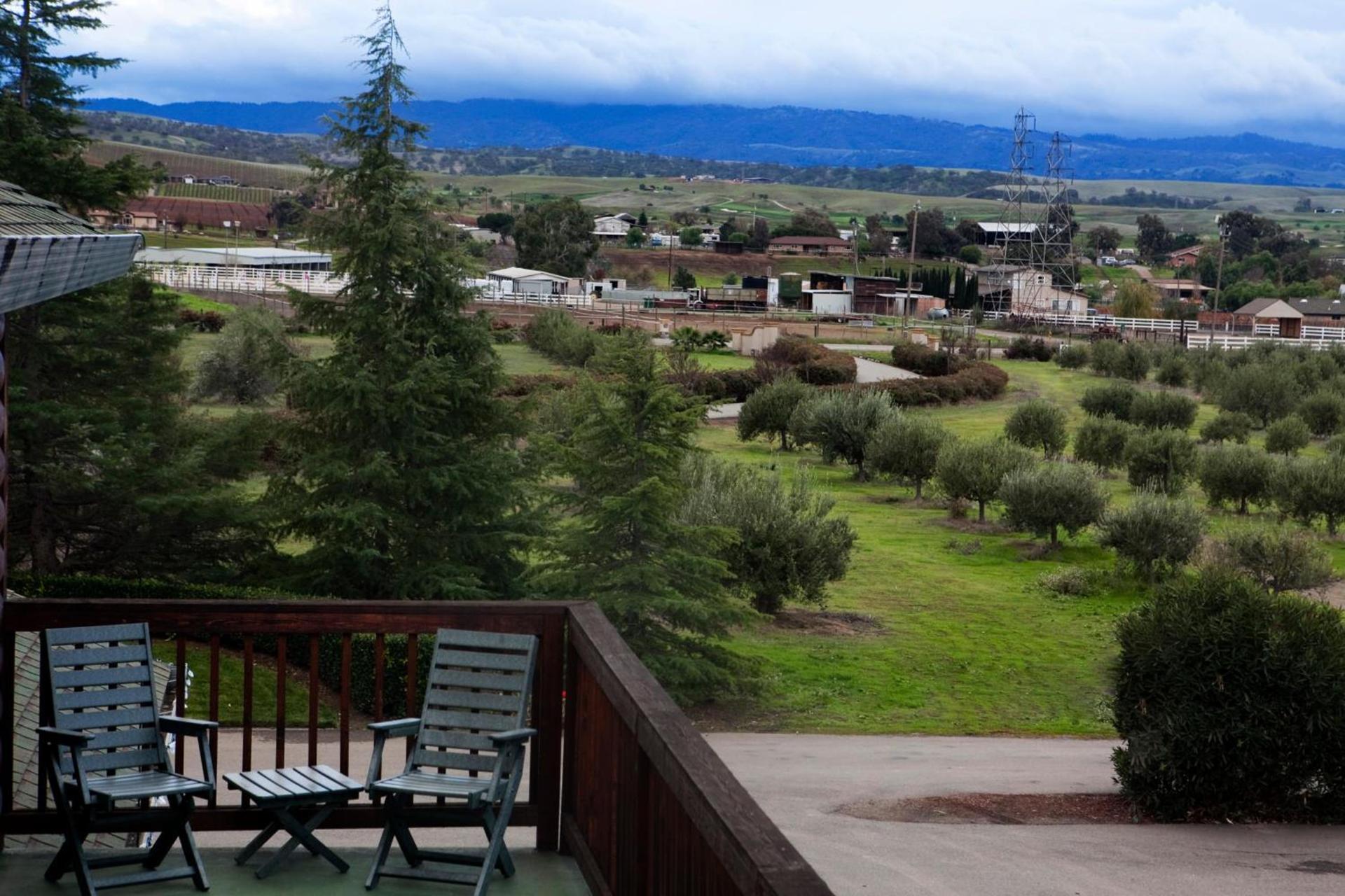 Purple Orchid Resort & Spa photo 5