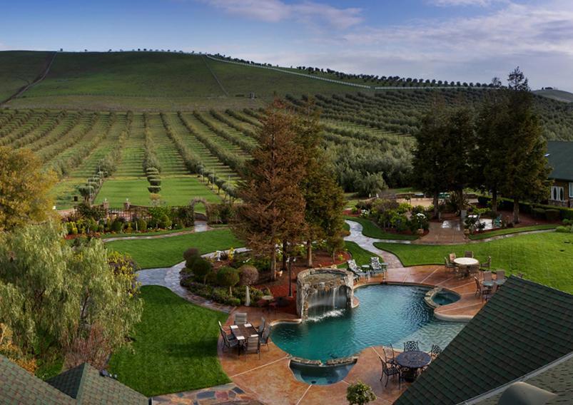 Purple Orchid Resort & Spa photo 17