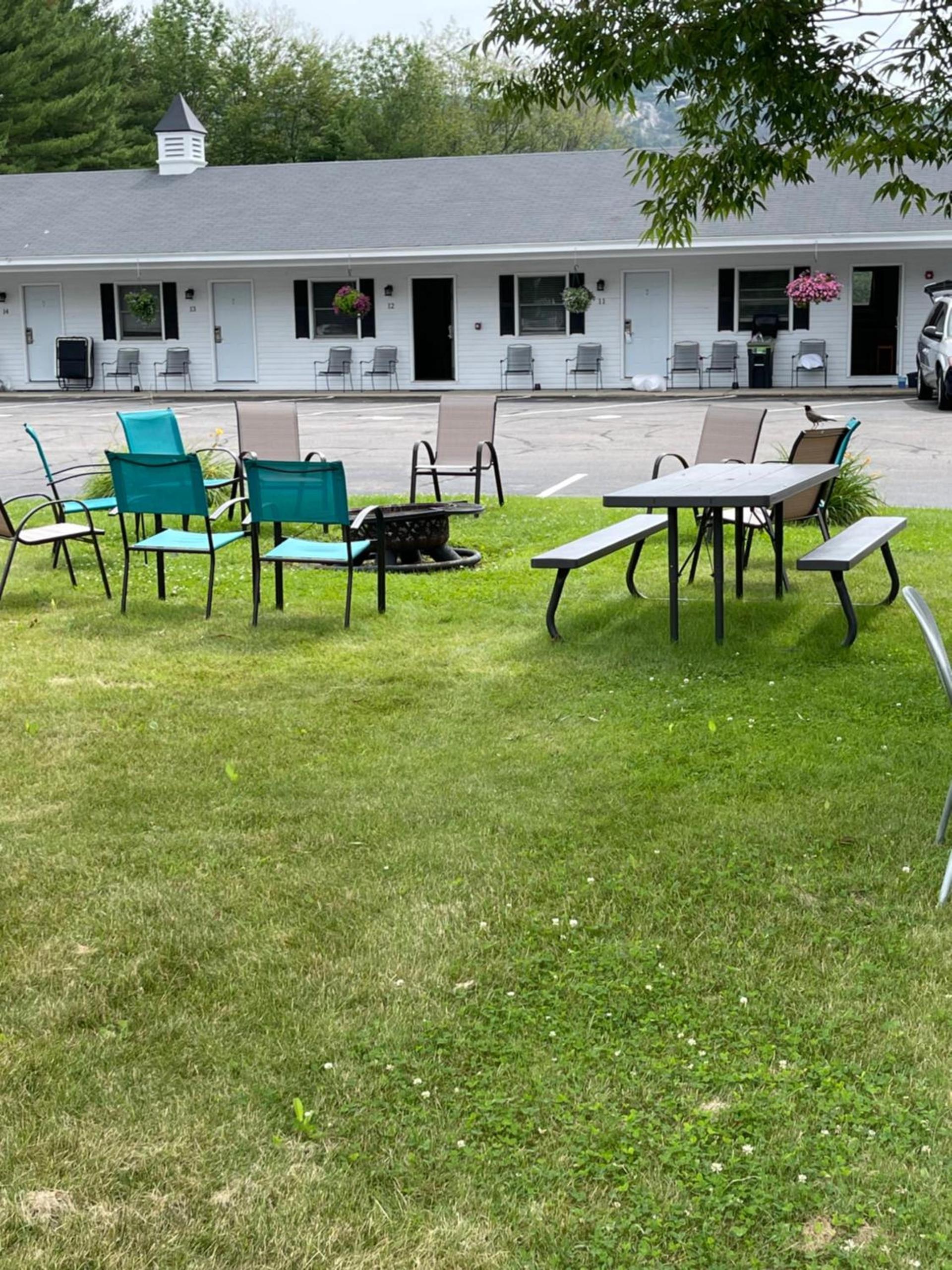 Colonial Motel photo 48