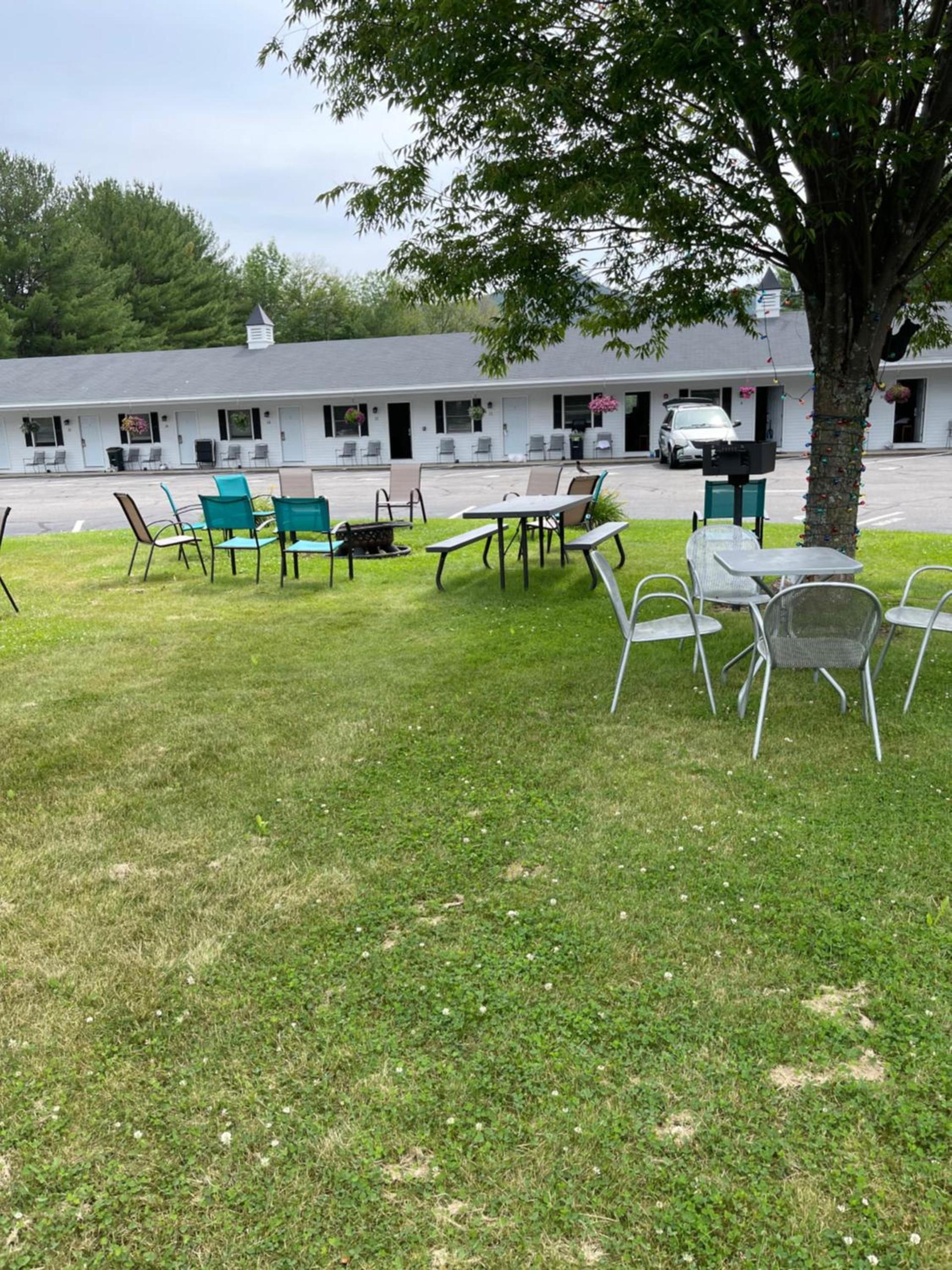 Colonial Motel photo 52