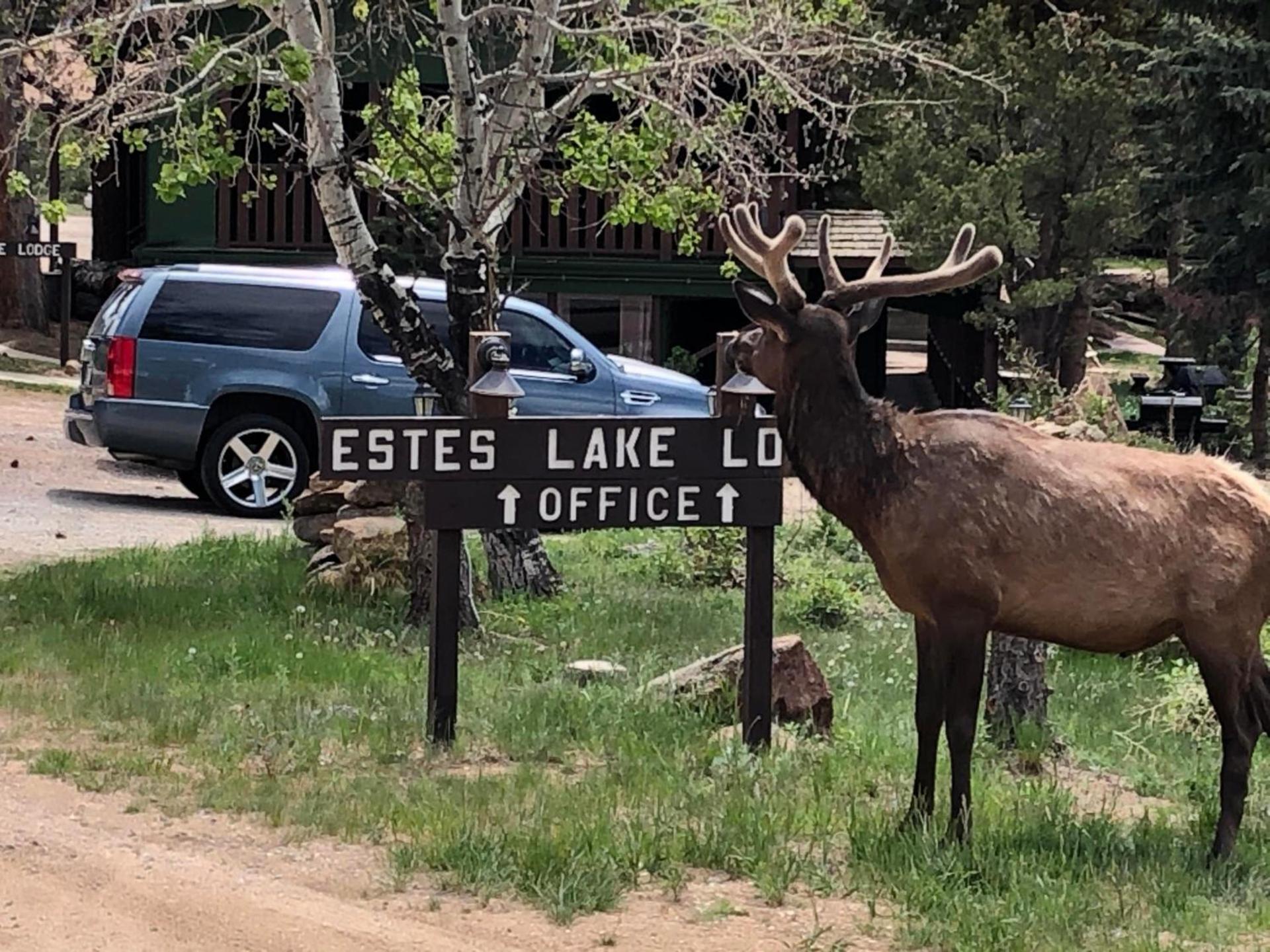 Estes Lake Lodge photo 81