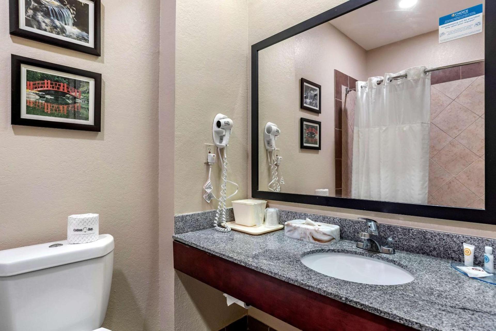 Comfort Inn Birmingham - Irondale photo 16