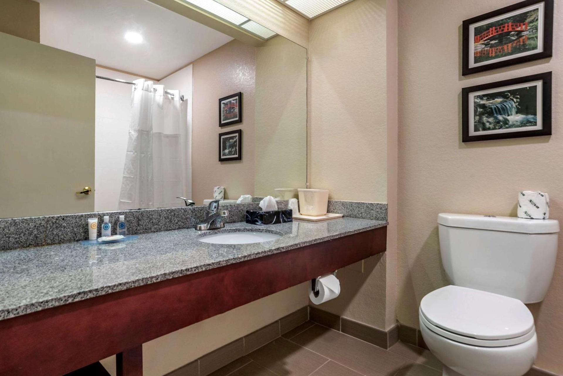 Comfort Inn Birmingham - Irondale photo 20