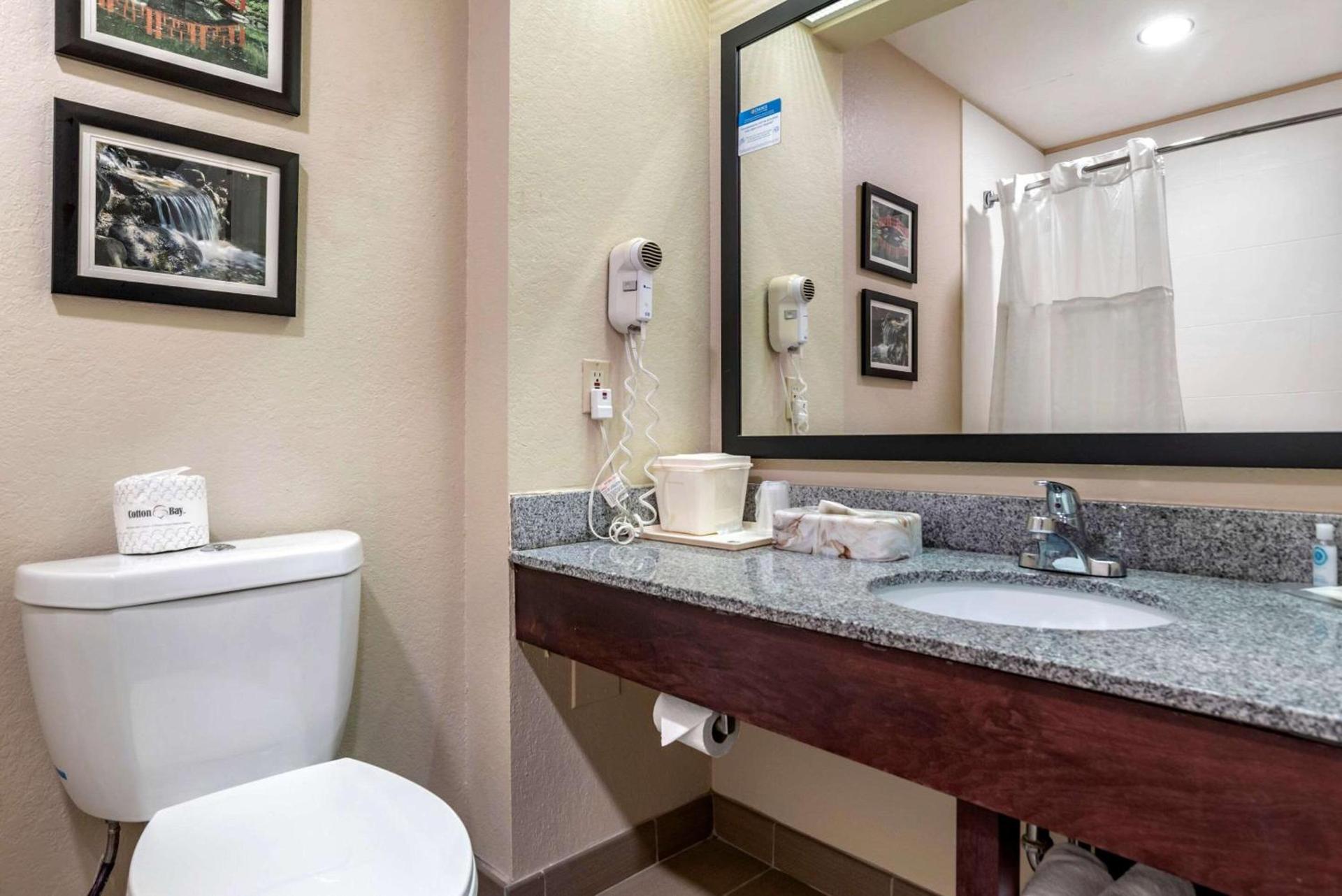 Comfort Inn Birmingham - Irondale photo 28