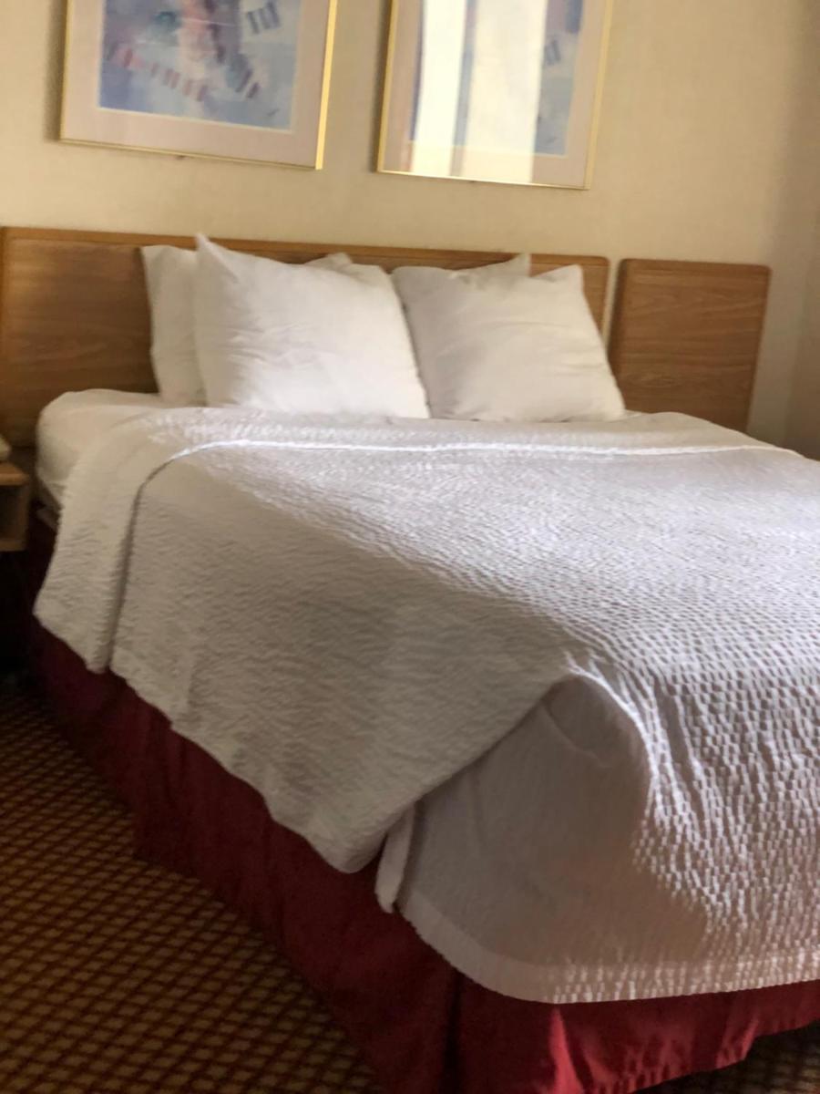 AIRPORT LODGING Pittsburgh Airport photo 10