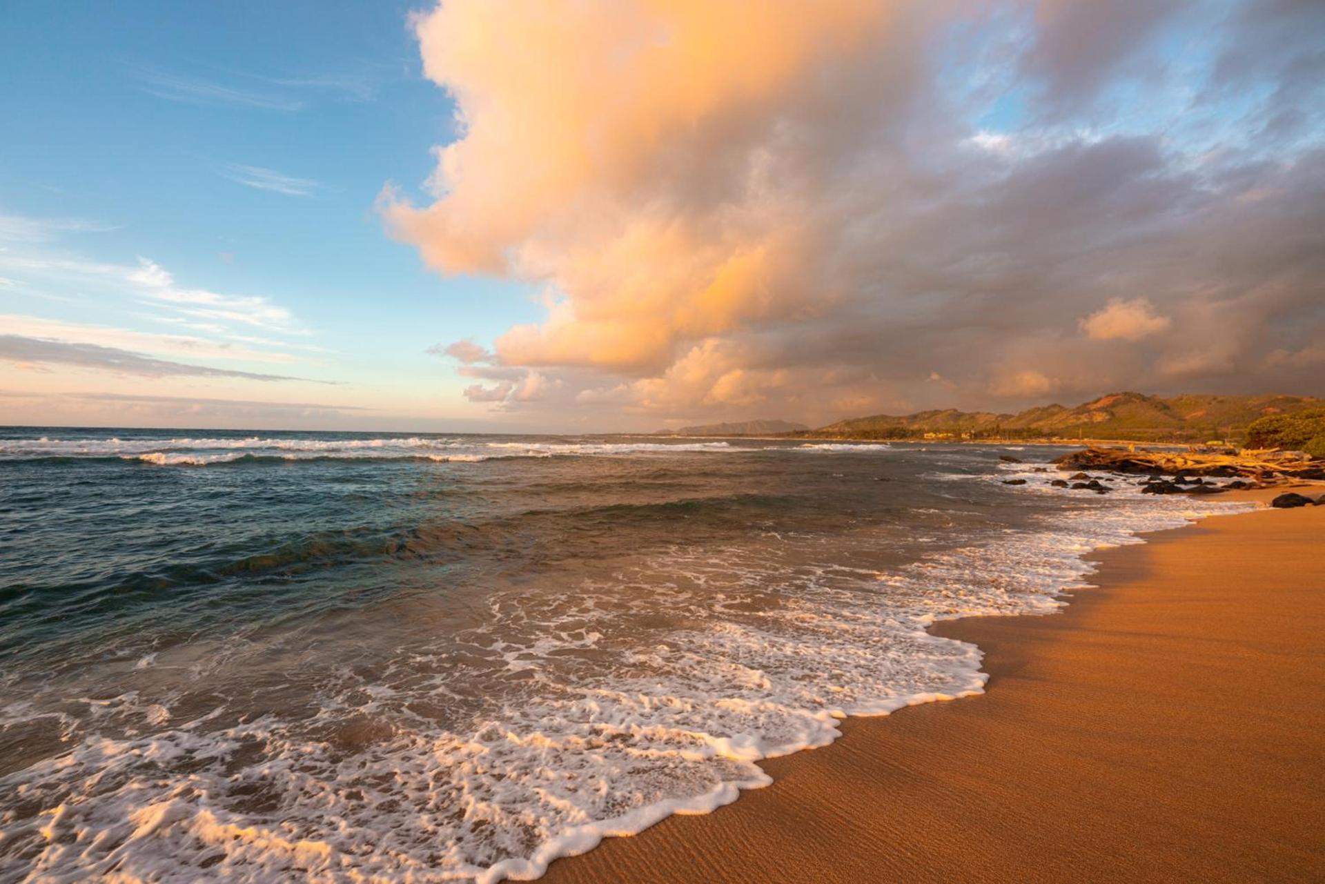 Kauai Shores Hotel photo 5