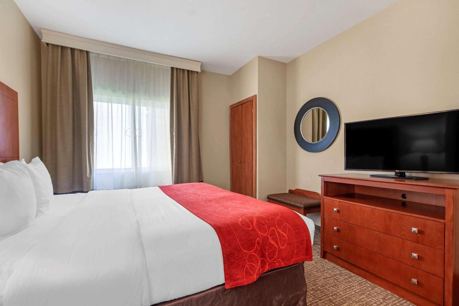 Comfort Suites North Dallas photo 7