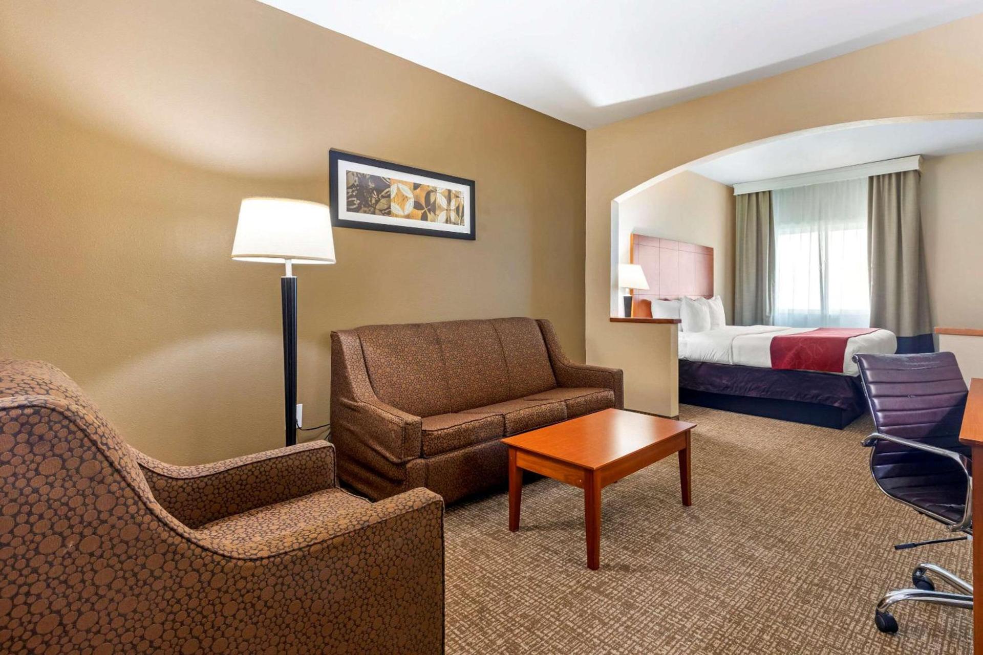 Comfort Suites North Dallas photo 5