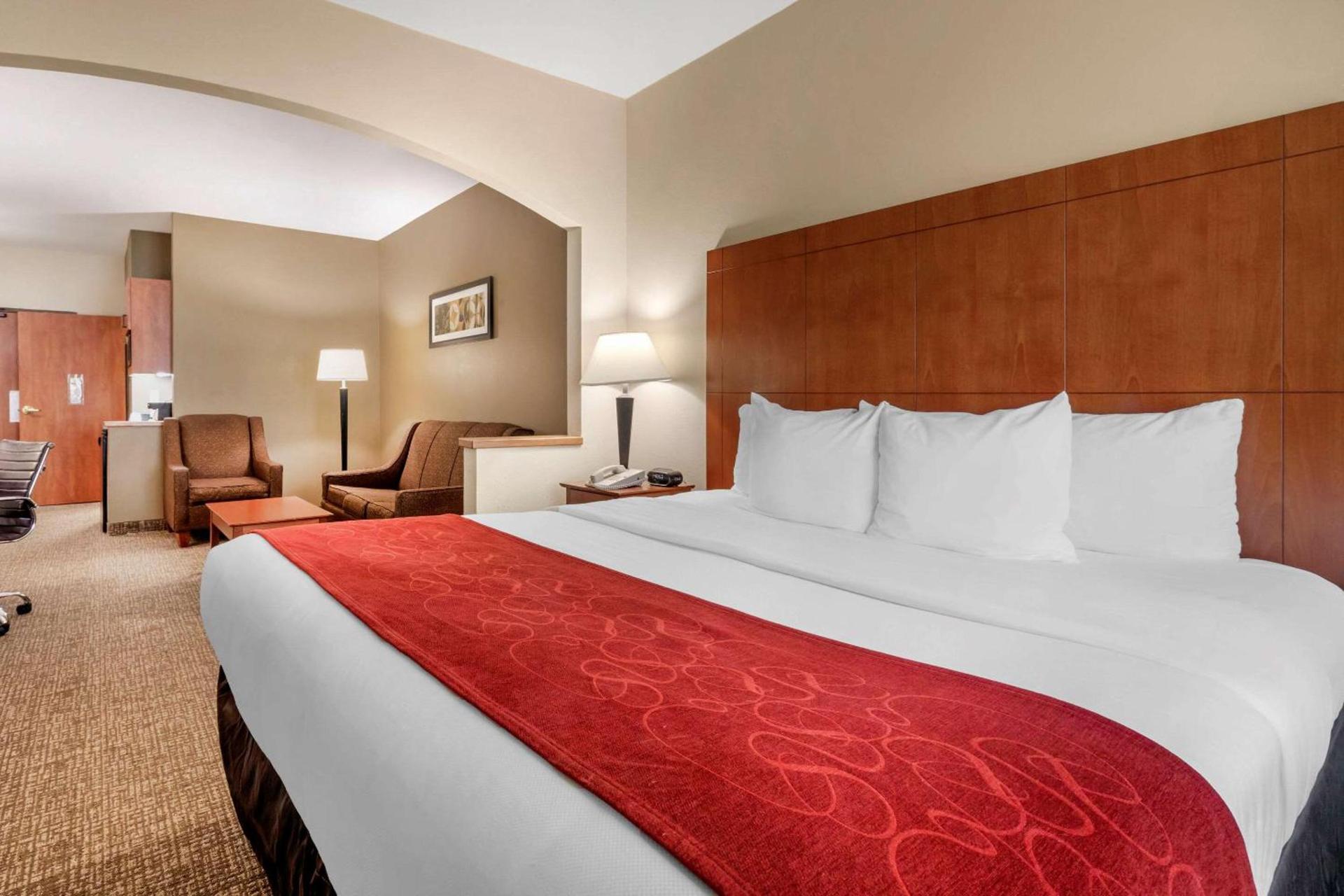 Comfort Suites North Dallas photo 8