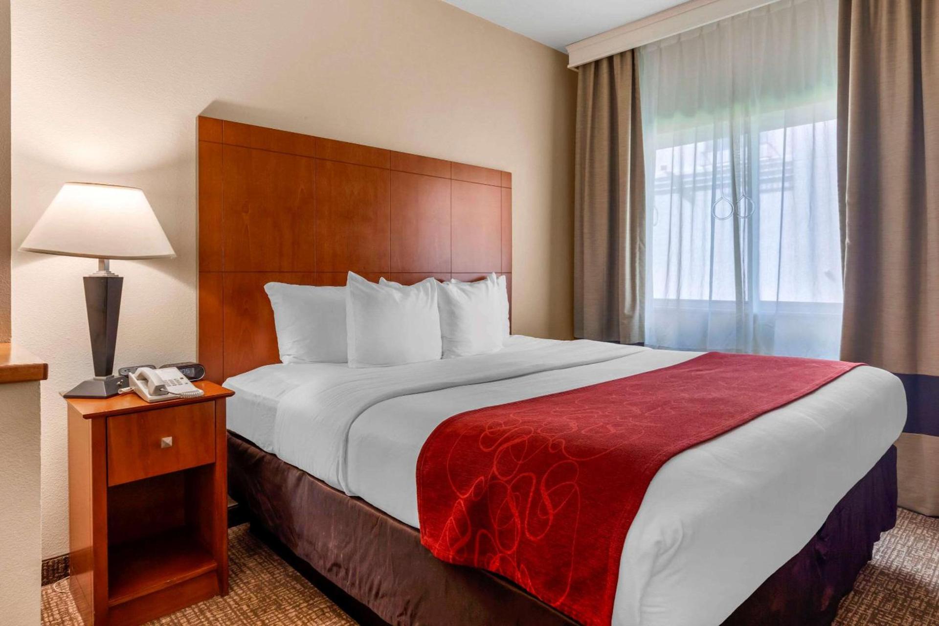Comfort Suites North Dallas photo 6
