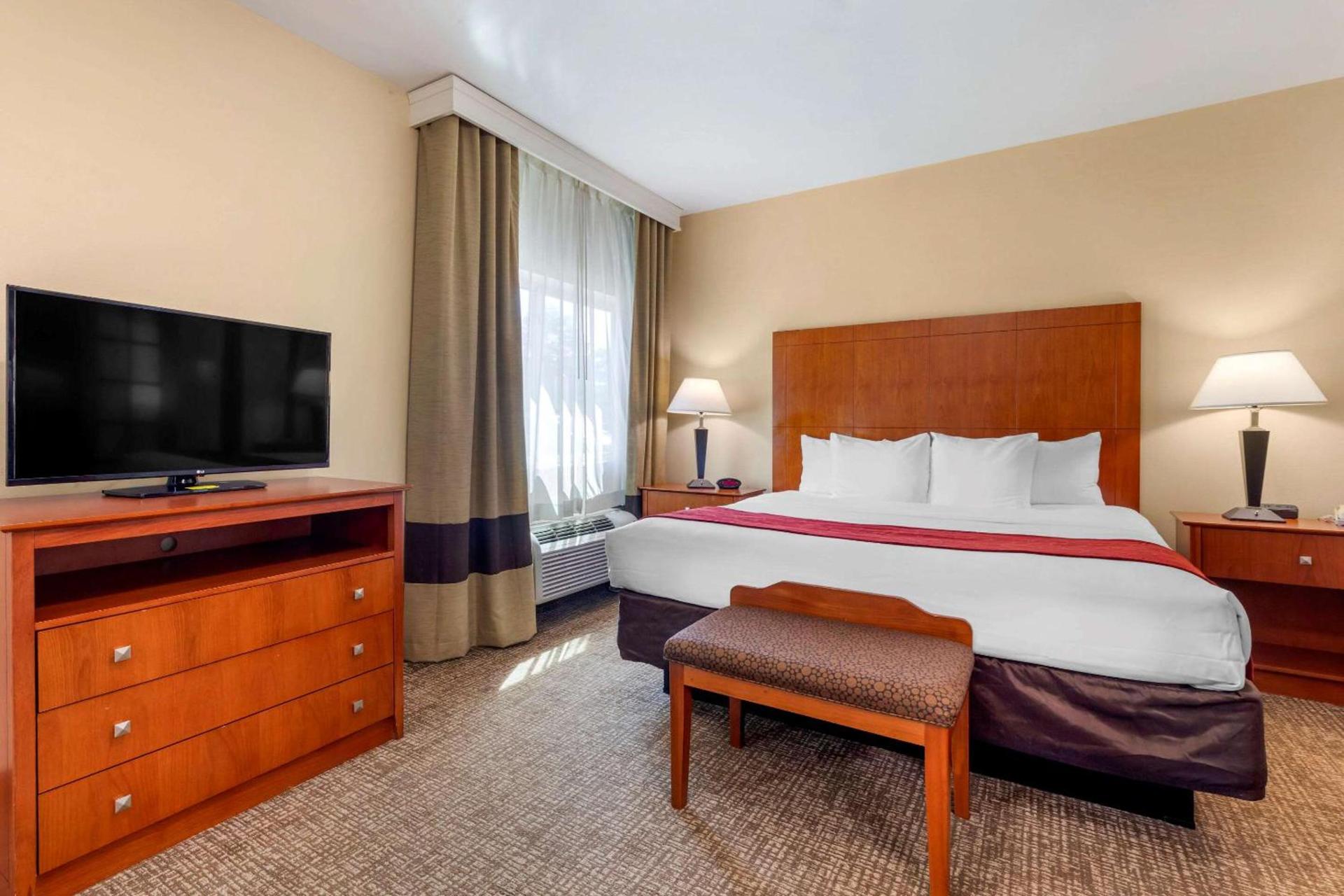 Comfort Suites North Dallas photo 12