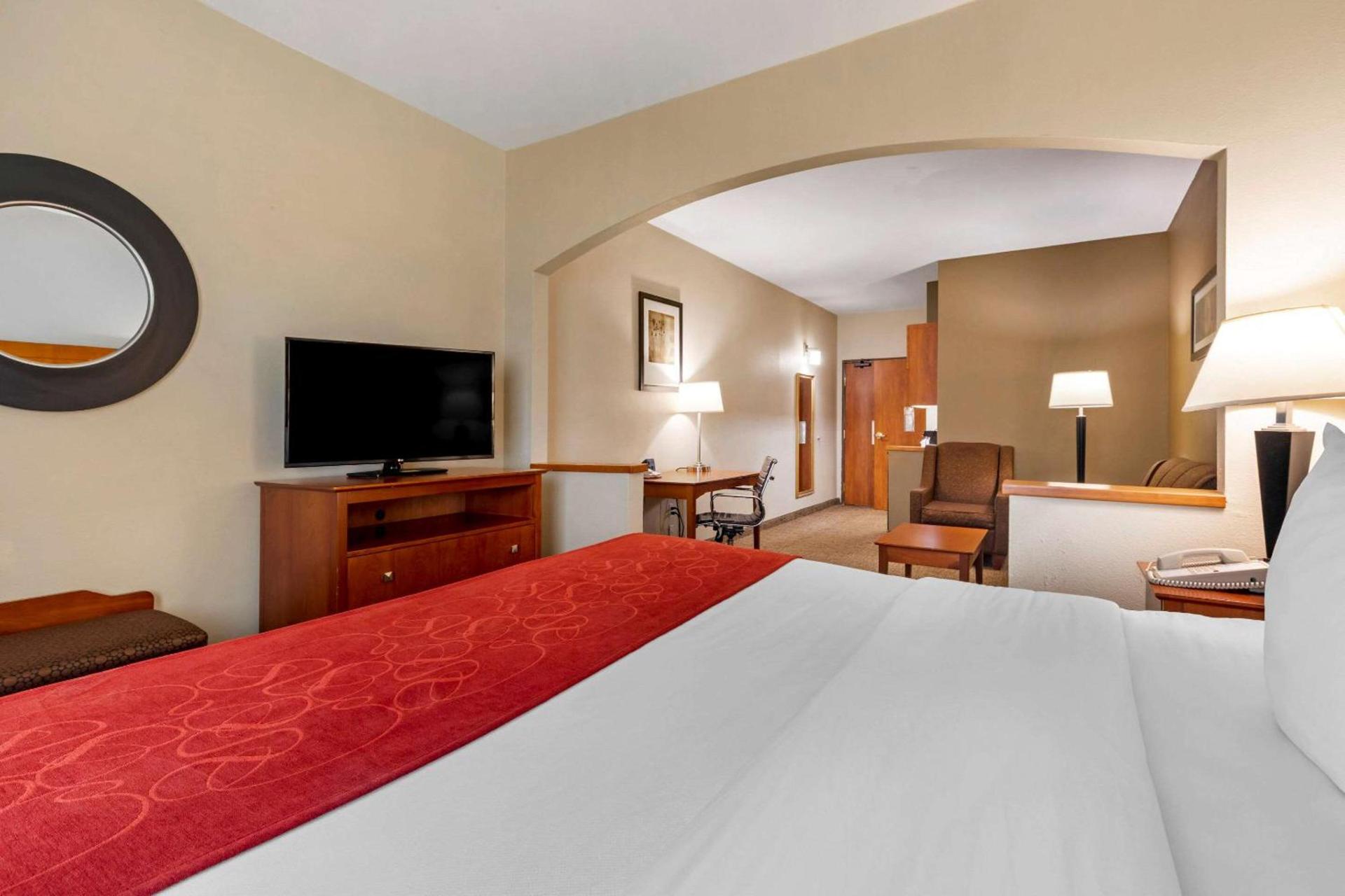 Comfort Suites North Dallas photo 9