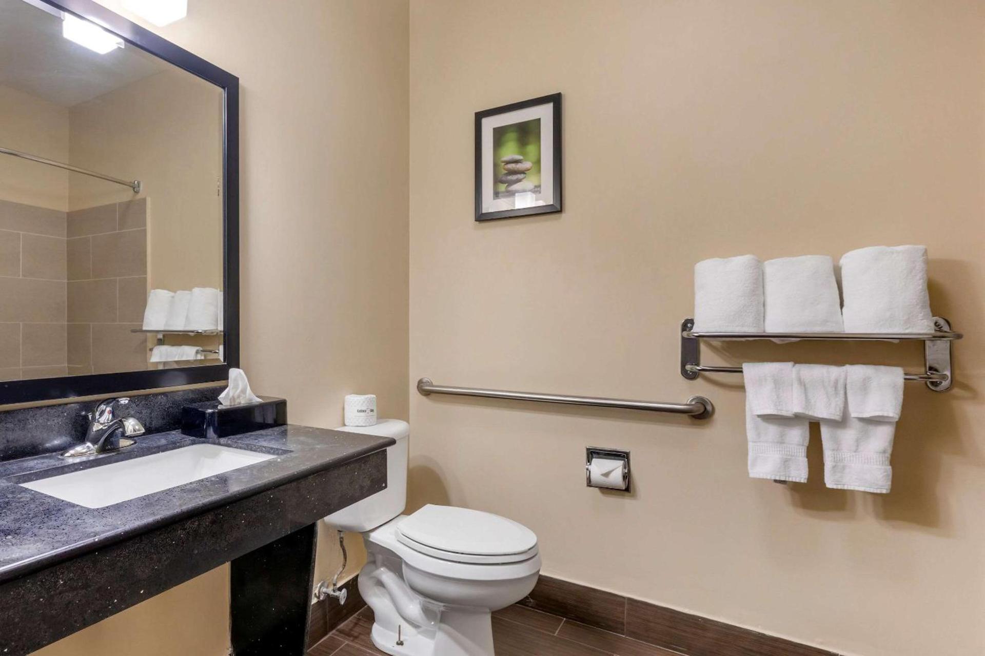Comfort Suites North Dallas photo 10