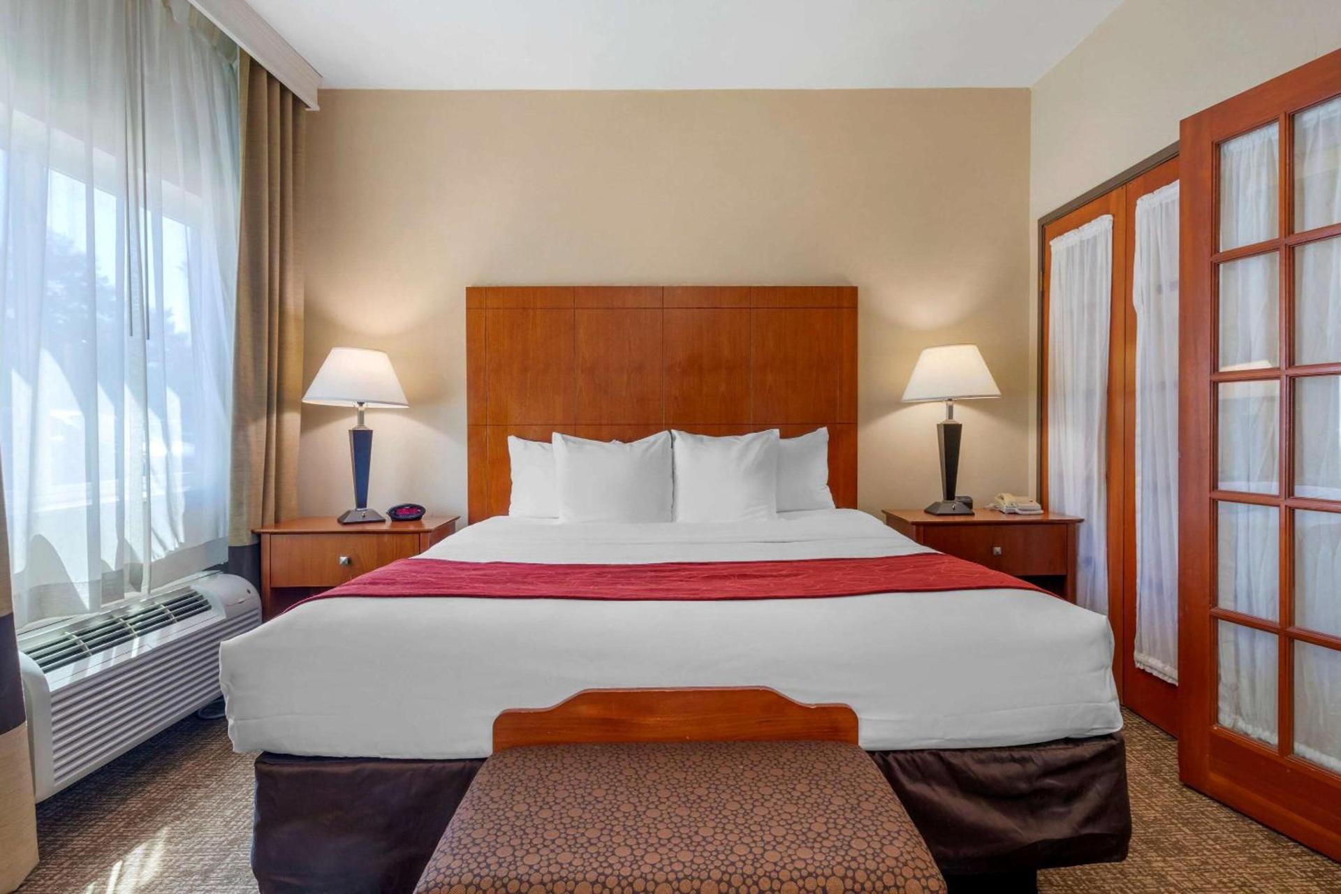 Comfort Suites North Dallas photo 13