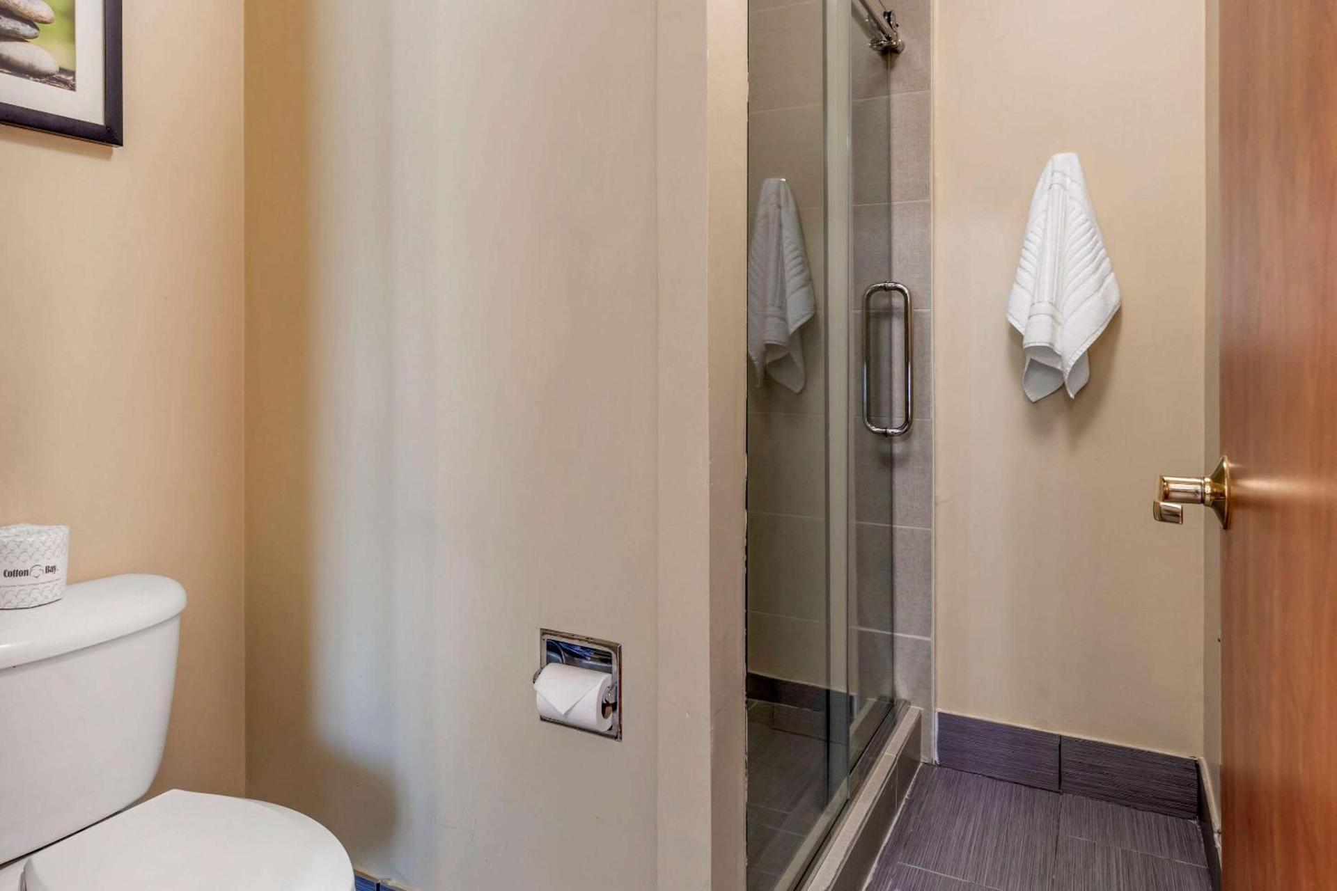 Comfort Suites North Dallas photo 14