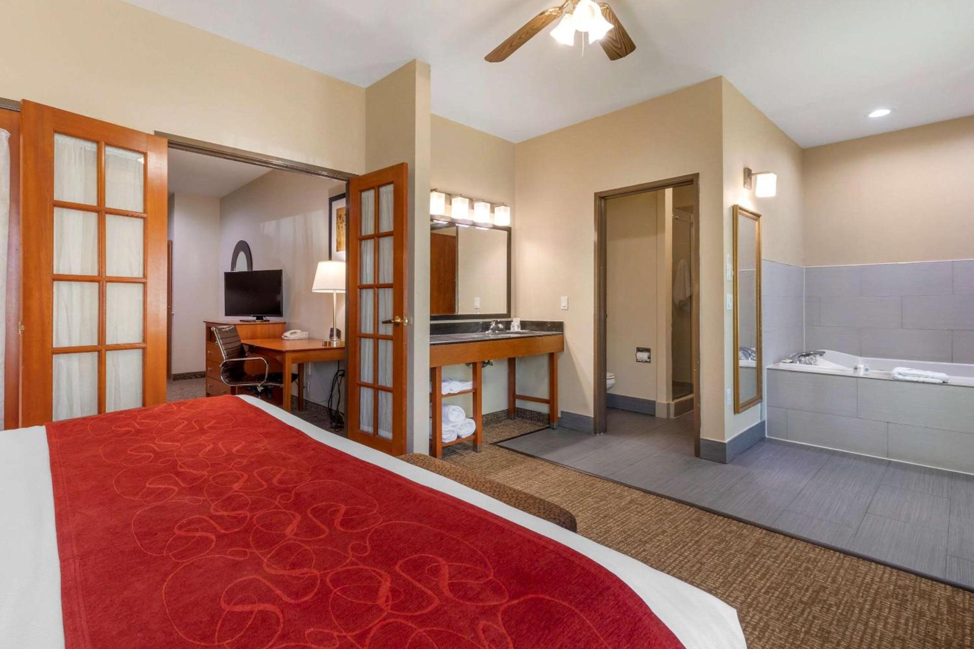 Comfort Suites North Dallas photo 16