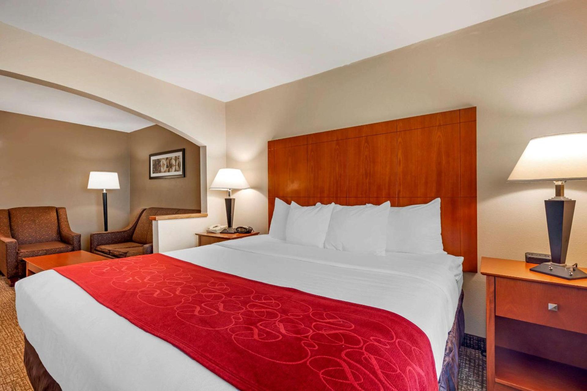 Comfort Suites North Dallas photo 19