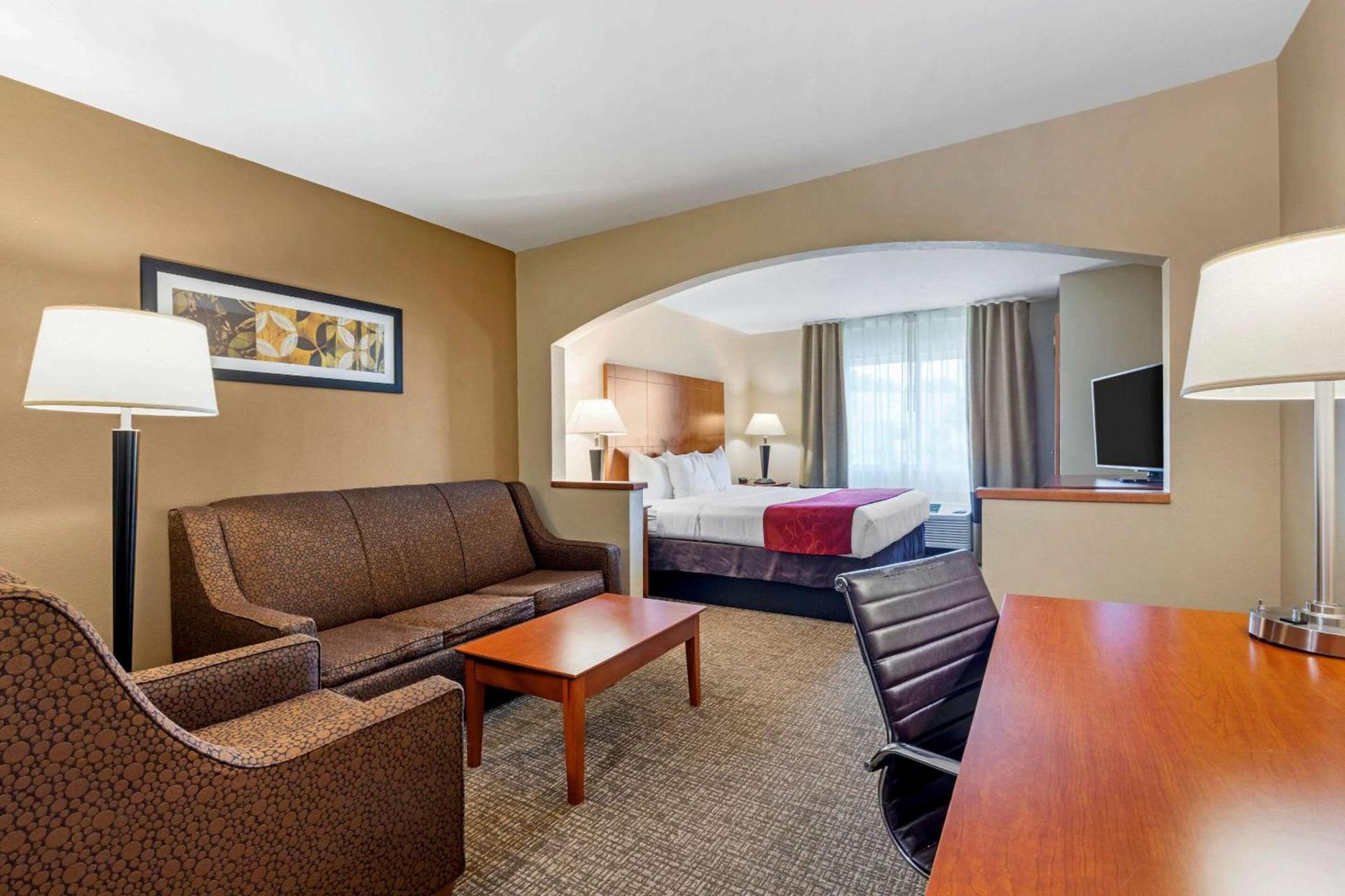 Comfort Suites North Dallas photo 17