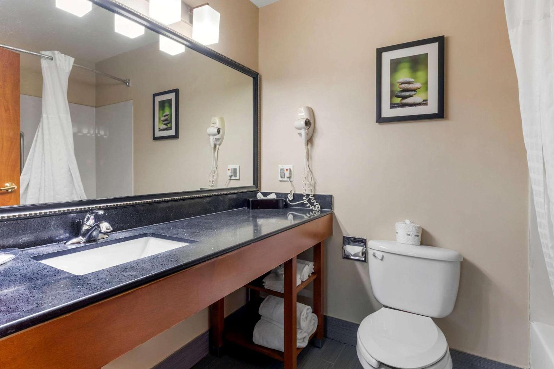 Comfort Suites North Dallas photo 21