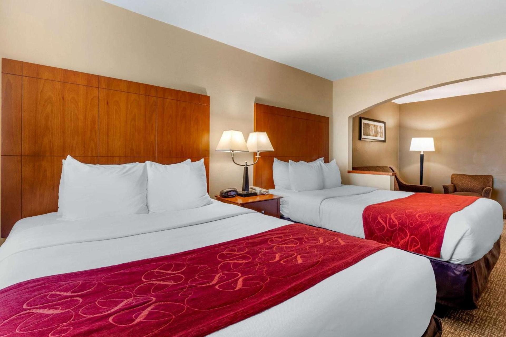 Comfort Suites North Dallas photo 29