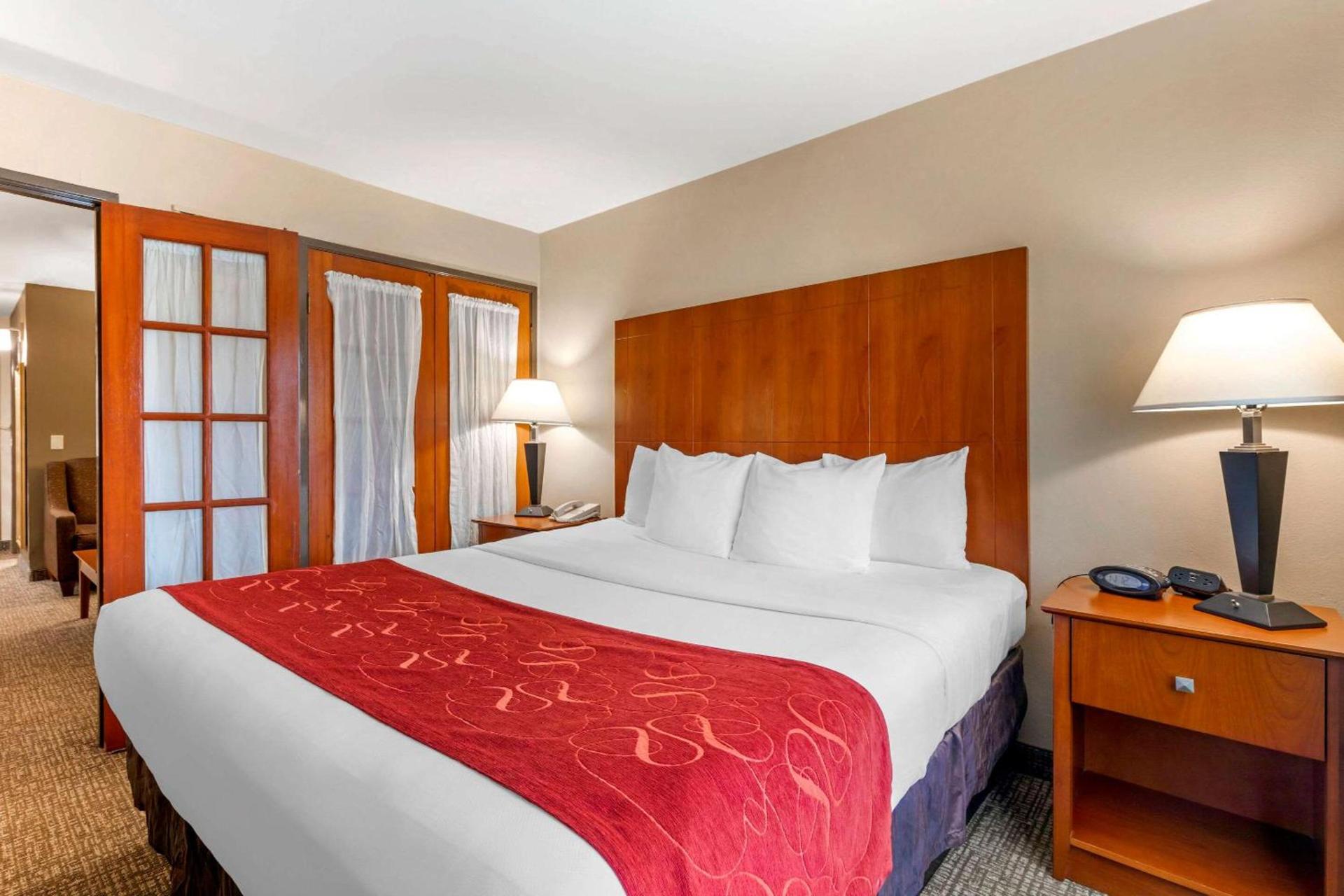 Comfort Suites North Dallas photo 25