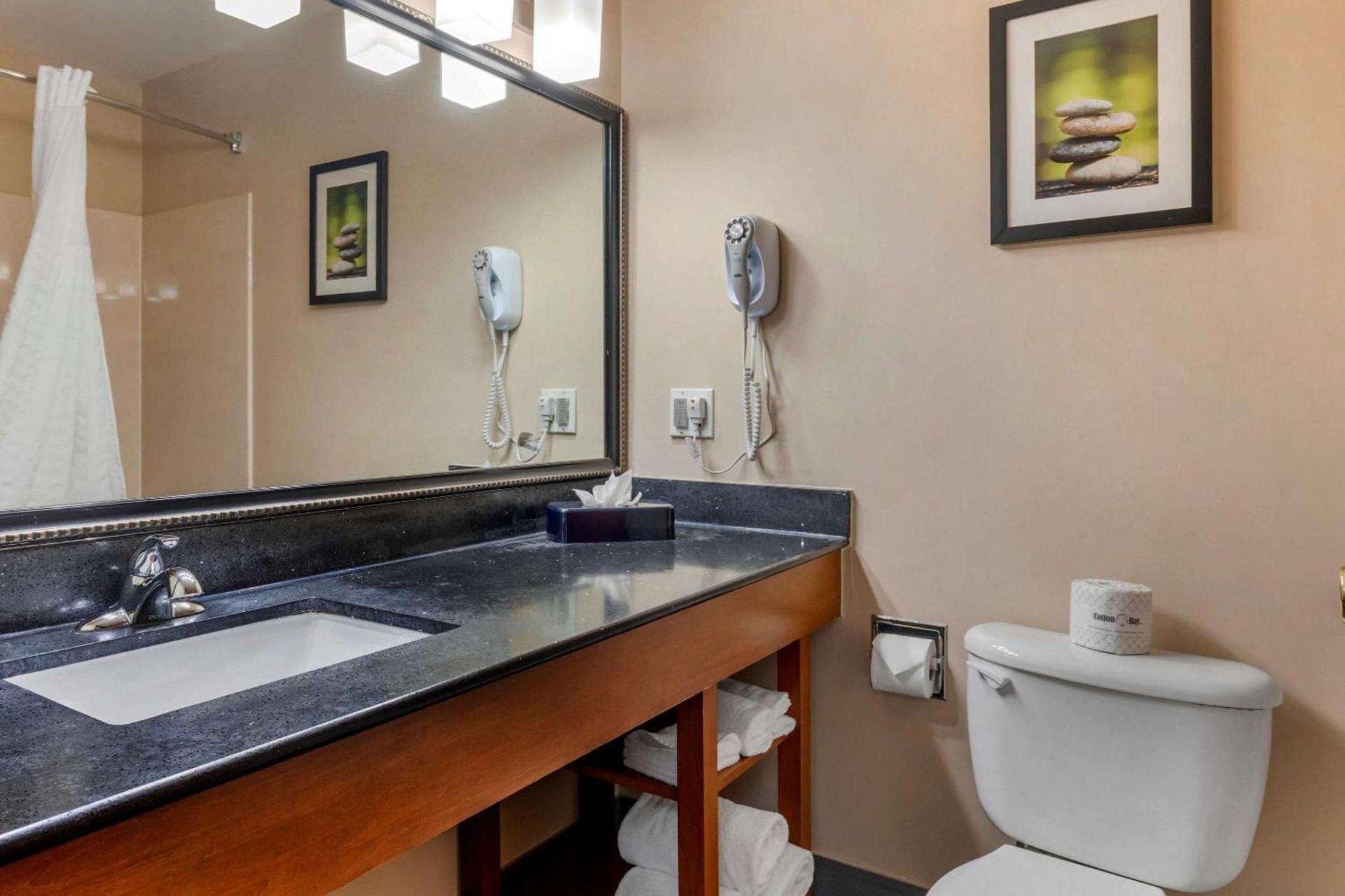 Comfort Suites North Dallas photo 27