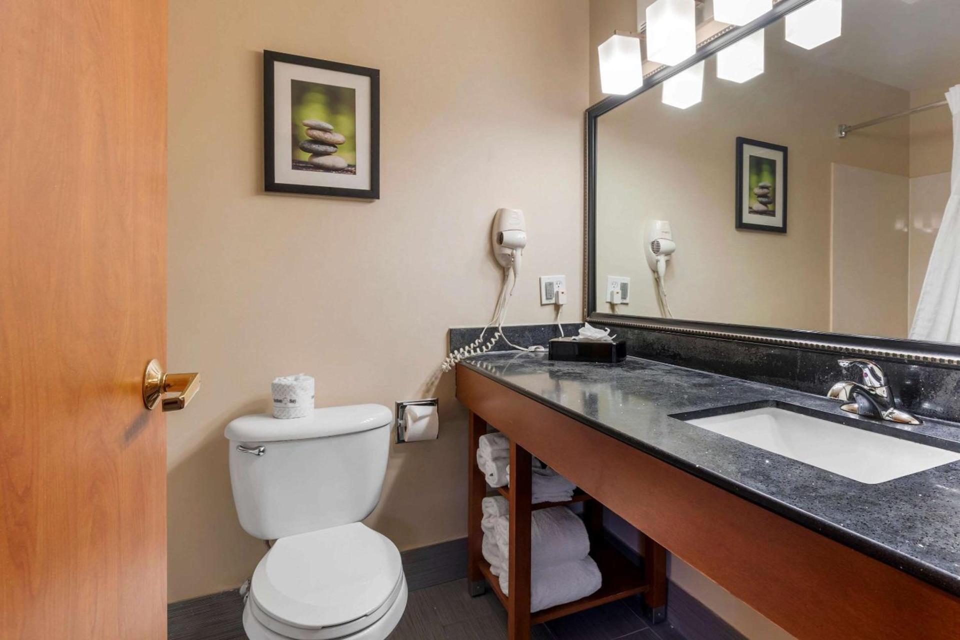 Comfort Suites North Dallas photo 32