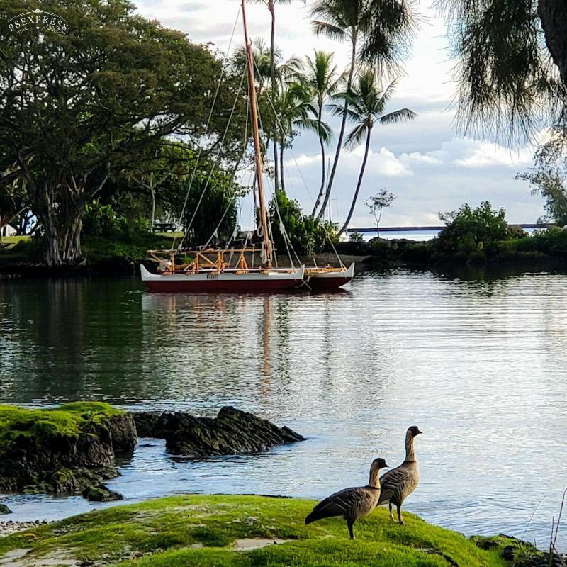 Hilo Reeds Bay Hotel photo 24