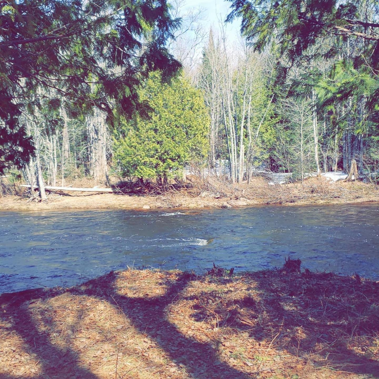 North Ironwood Acres - Black River Lodge photo 27