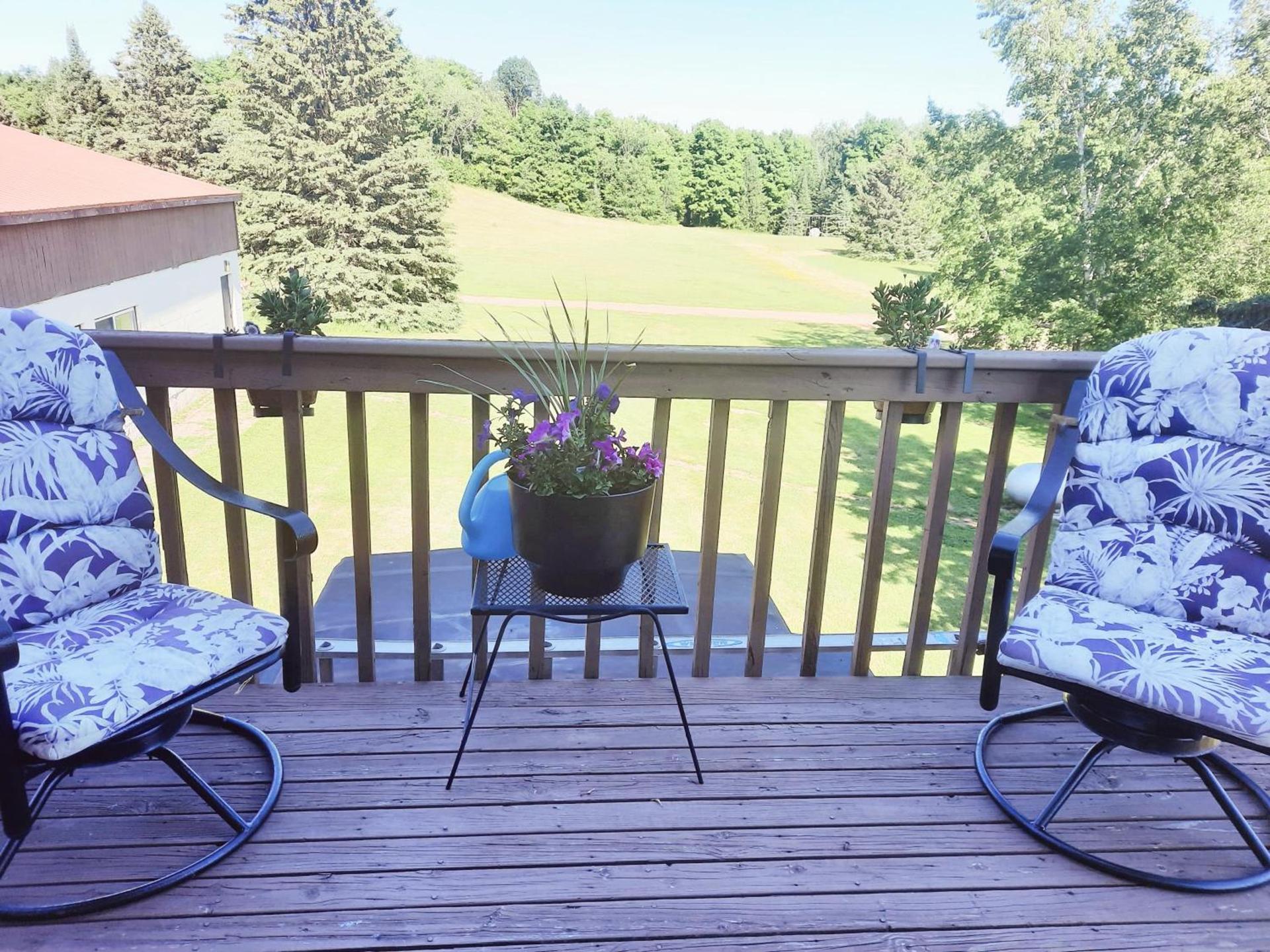 North Ironwood Acres - Black River Lodge photo 24