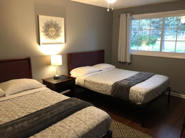 Nightshade Inn & Gardens photo 10