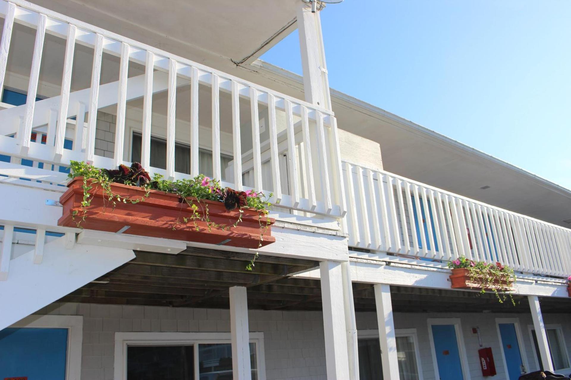 Cape Sands Inn photo 41