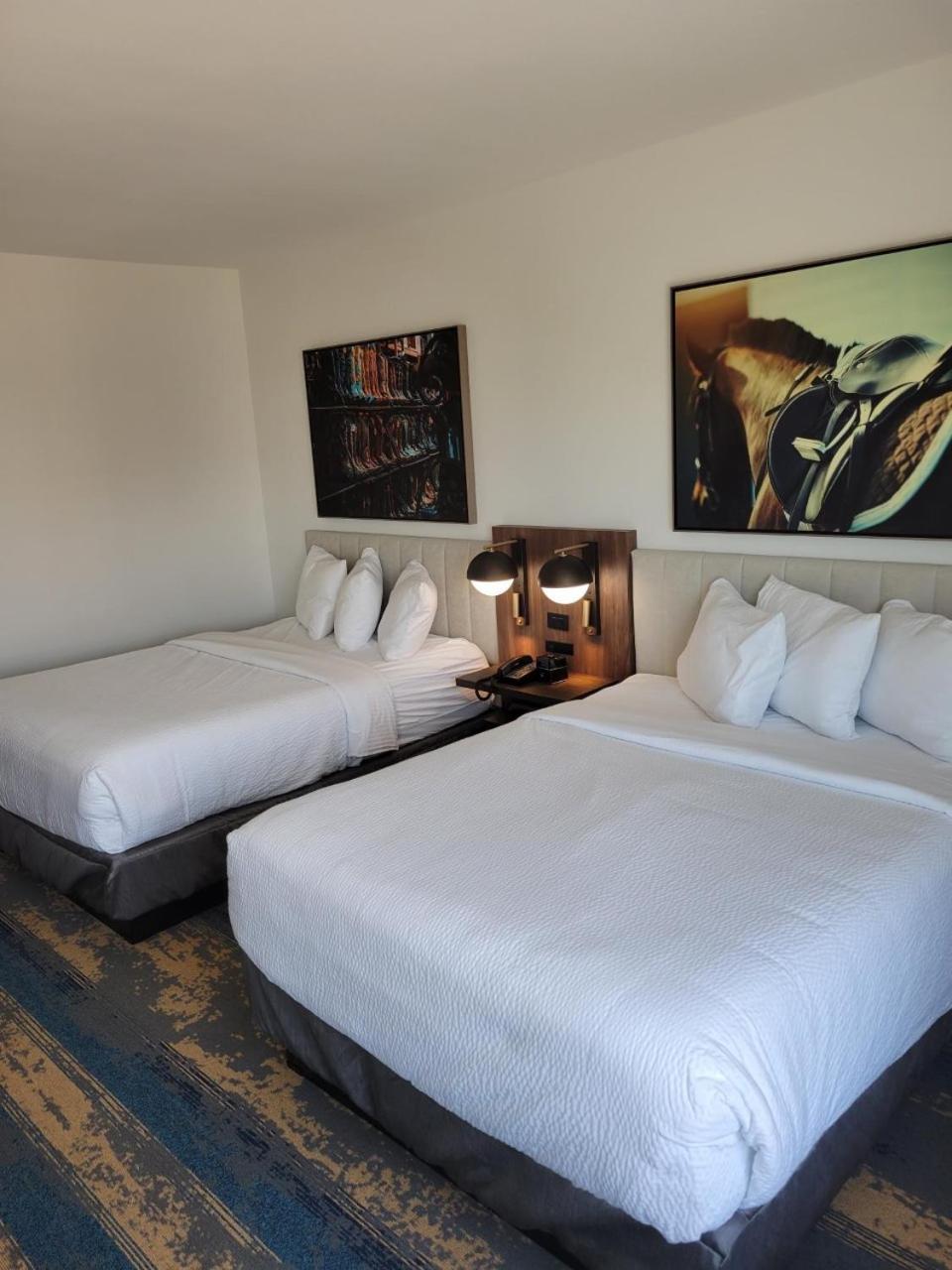 La Quinta Inn & Suites by Wyndham Terrell photo 42