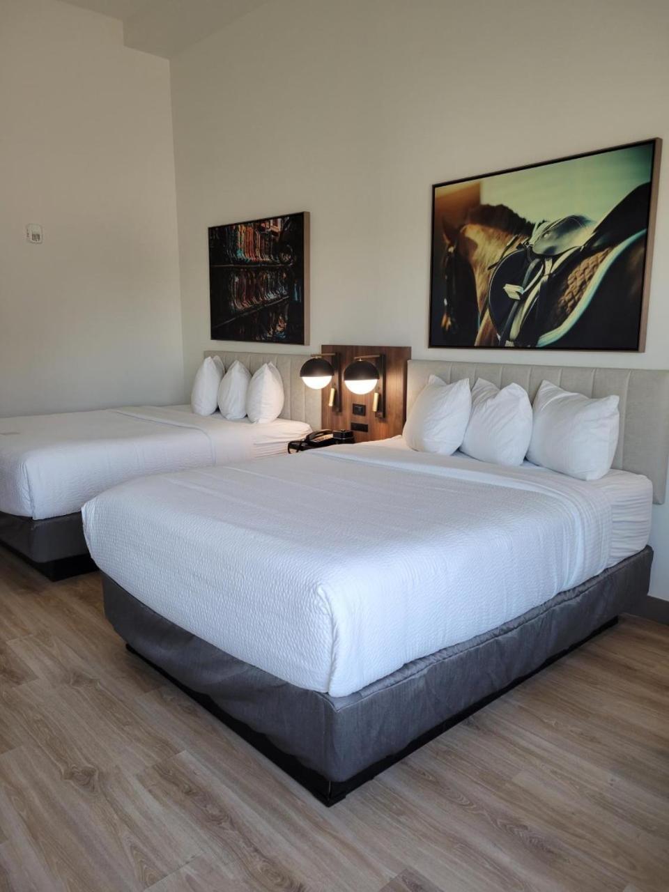 La Quinta Inn & Suites by Wyndham Terrell photo 59