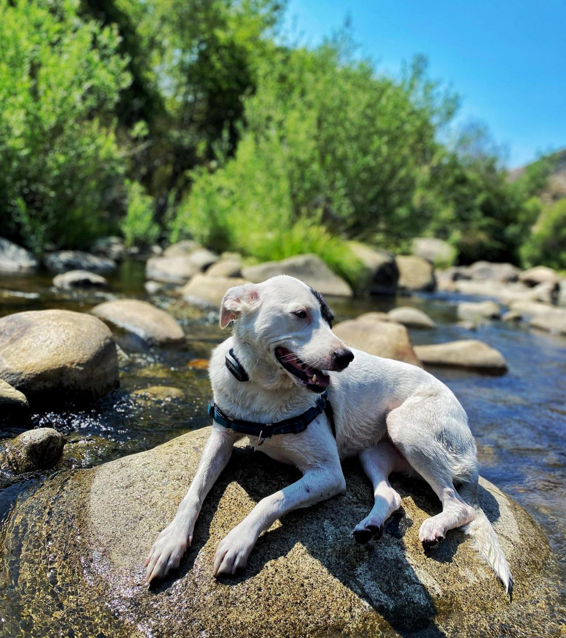 SoCal Camping photo 64