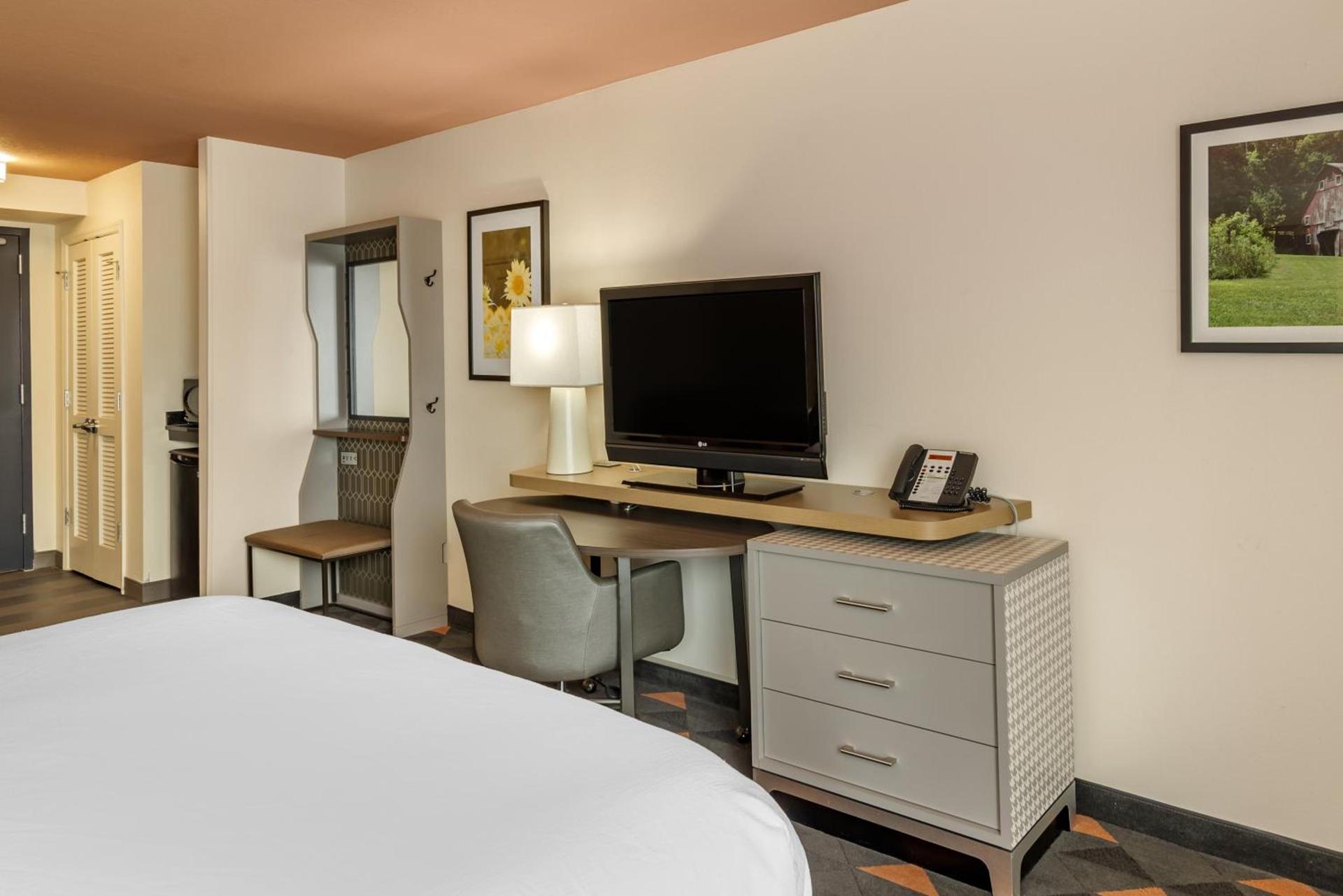 Holiday Inn Atlanta-Gas South Arena Area by IHG photo 19