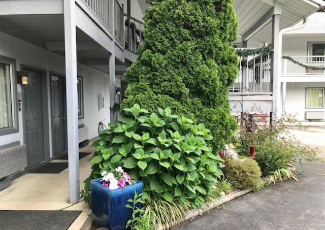 Four Seasons Inn — hotel in Maggie Valley