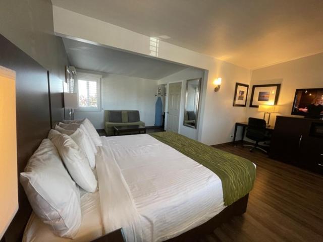 Hi View Inn & Suites photo 15