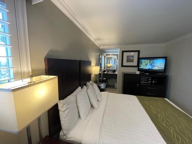 Hi View Inn & Suites photo 25