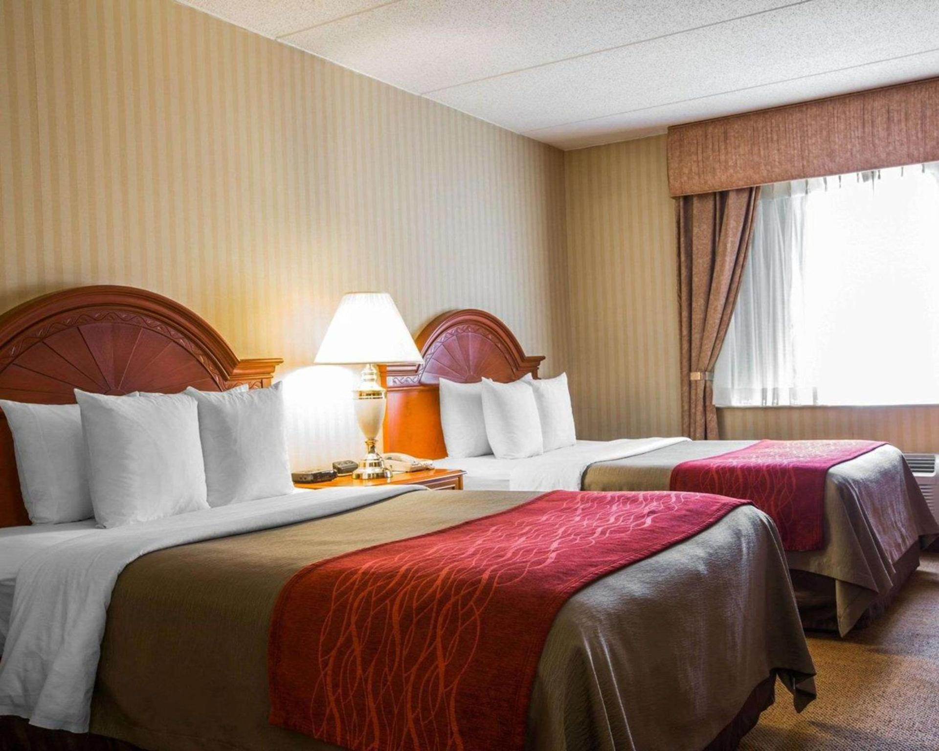 Holiday Inn Express & Suites Hawthorne - Elmsford North by IHG photo 17